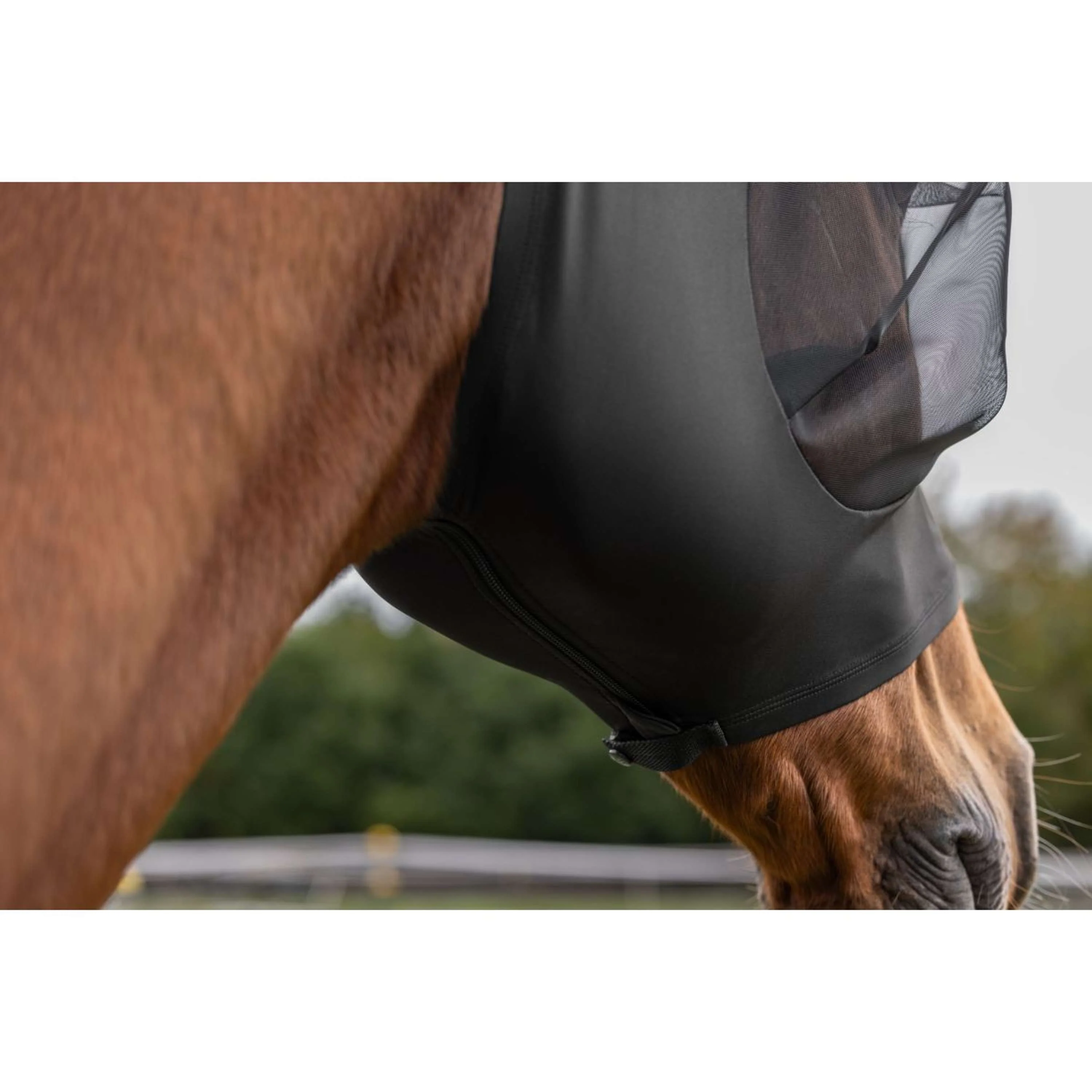 Covalliero Masque Anti-Mouches FinoStretch Noir - Image 3