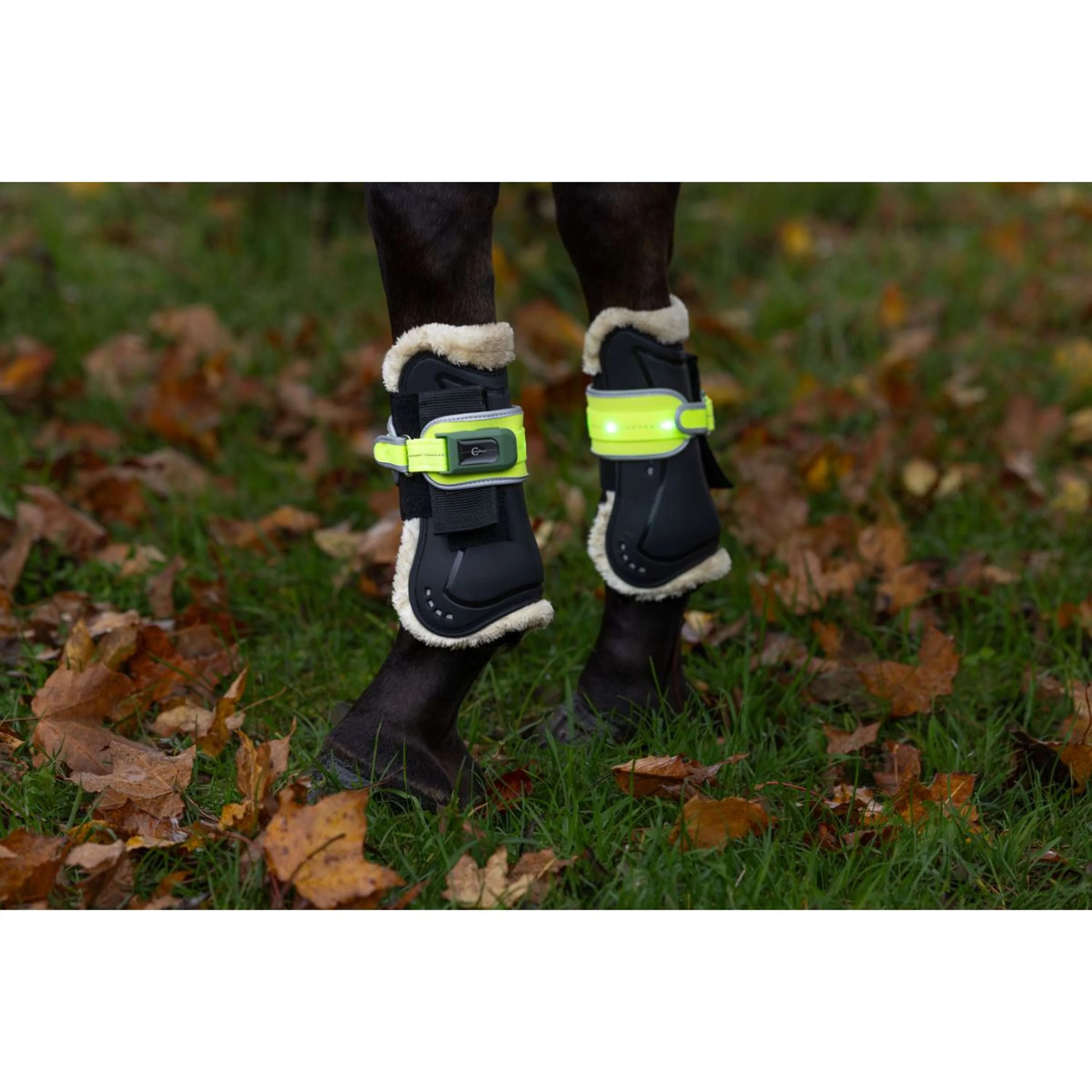 Covalliero Protection des jambes Led Réflexion - Image 4