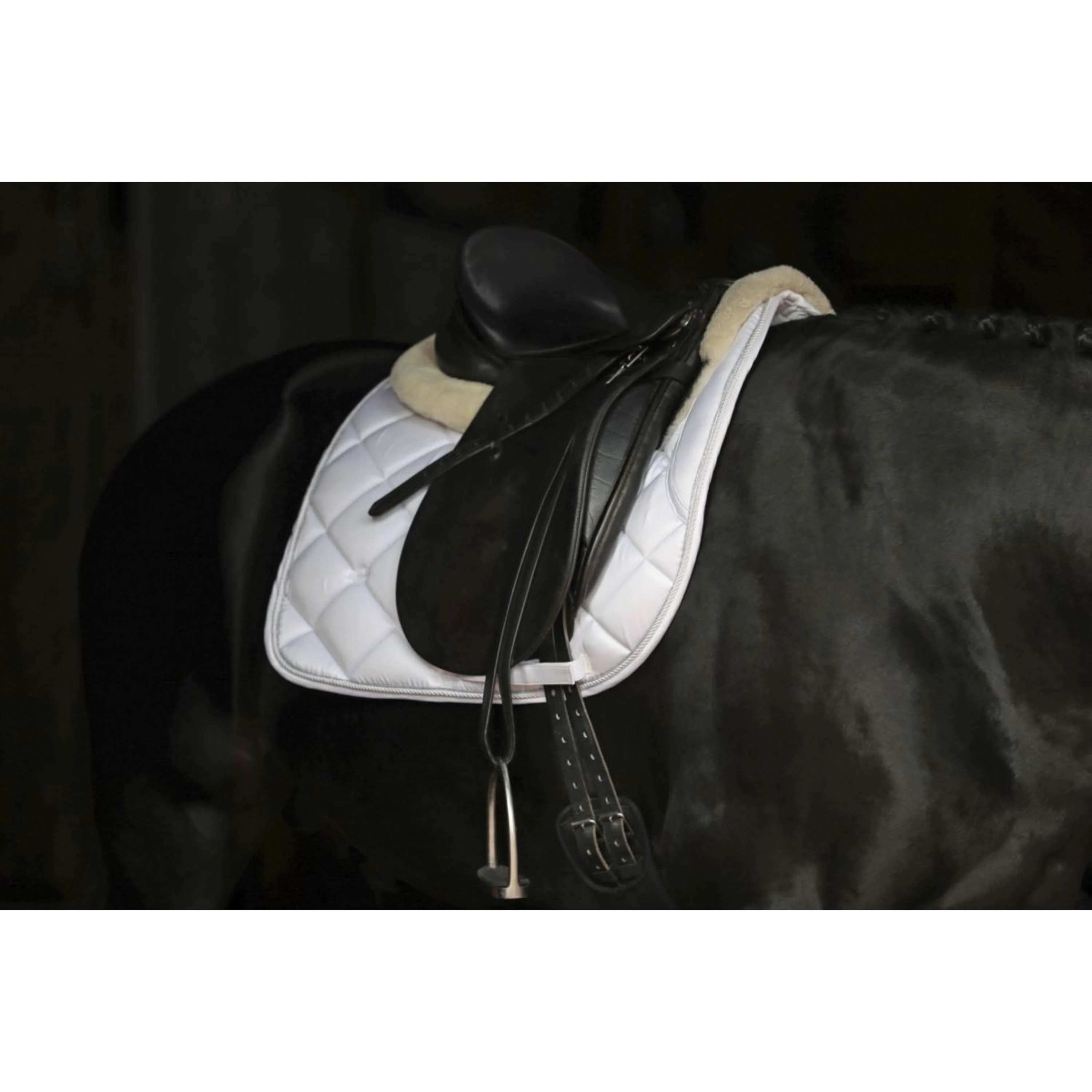 Covalliero Tapis de Selle Empara Polyvalent Blanc - Image 4