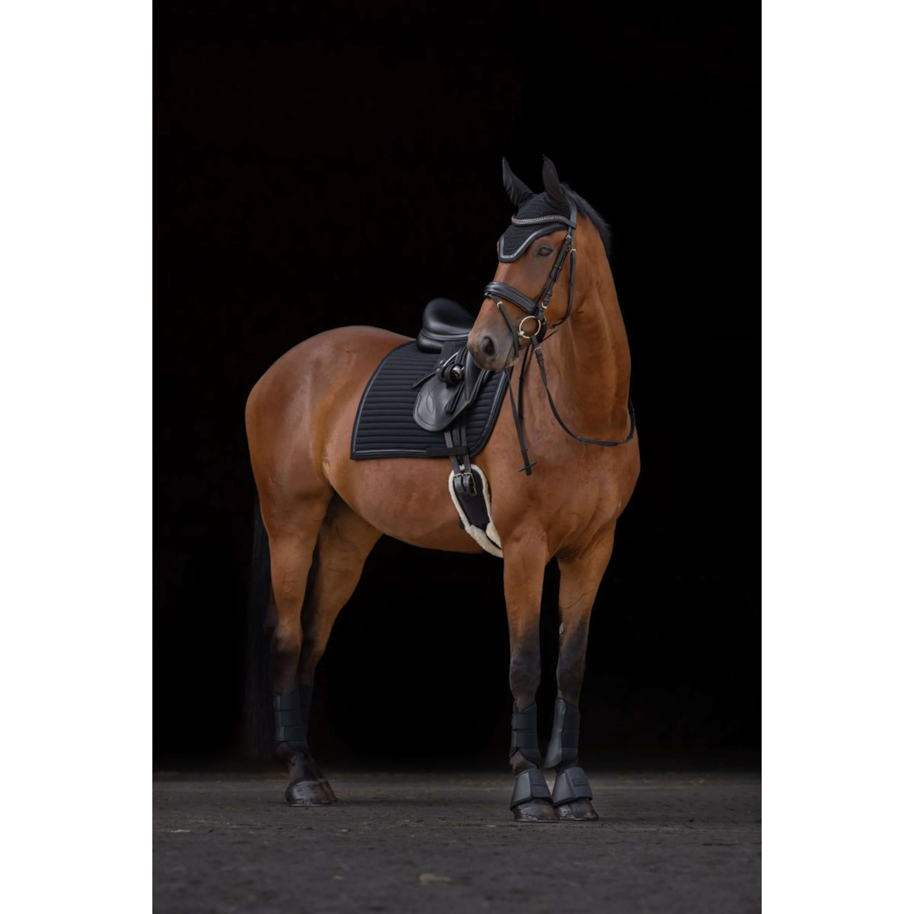 Covalliero Tapis de Selle Linea Polyvalent Noir - Image 2