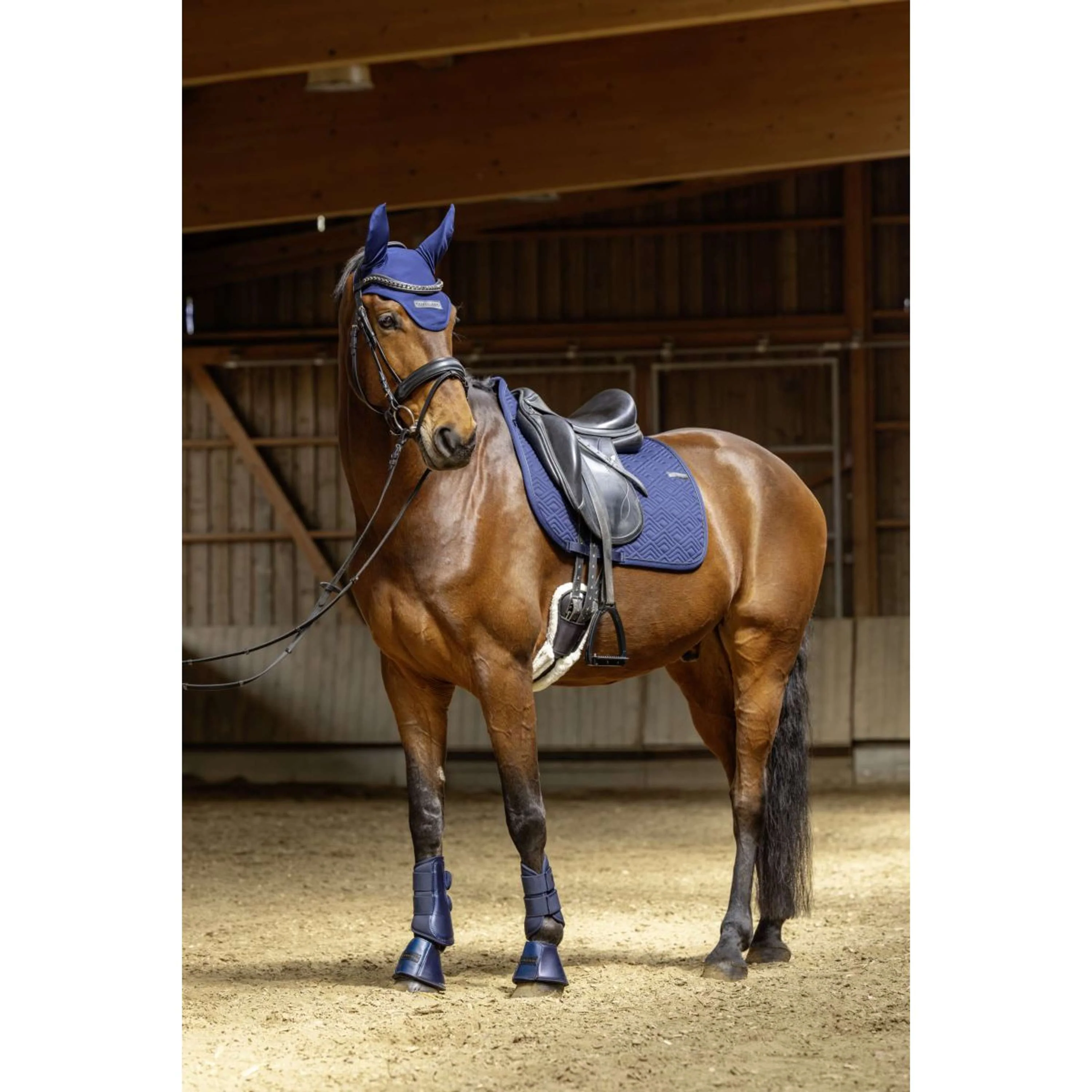 Covalliero Tapis de Selle SS26 Polyvalent Foncé Marine - Image 2