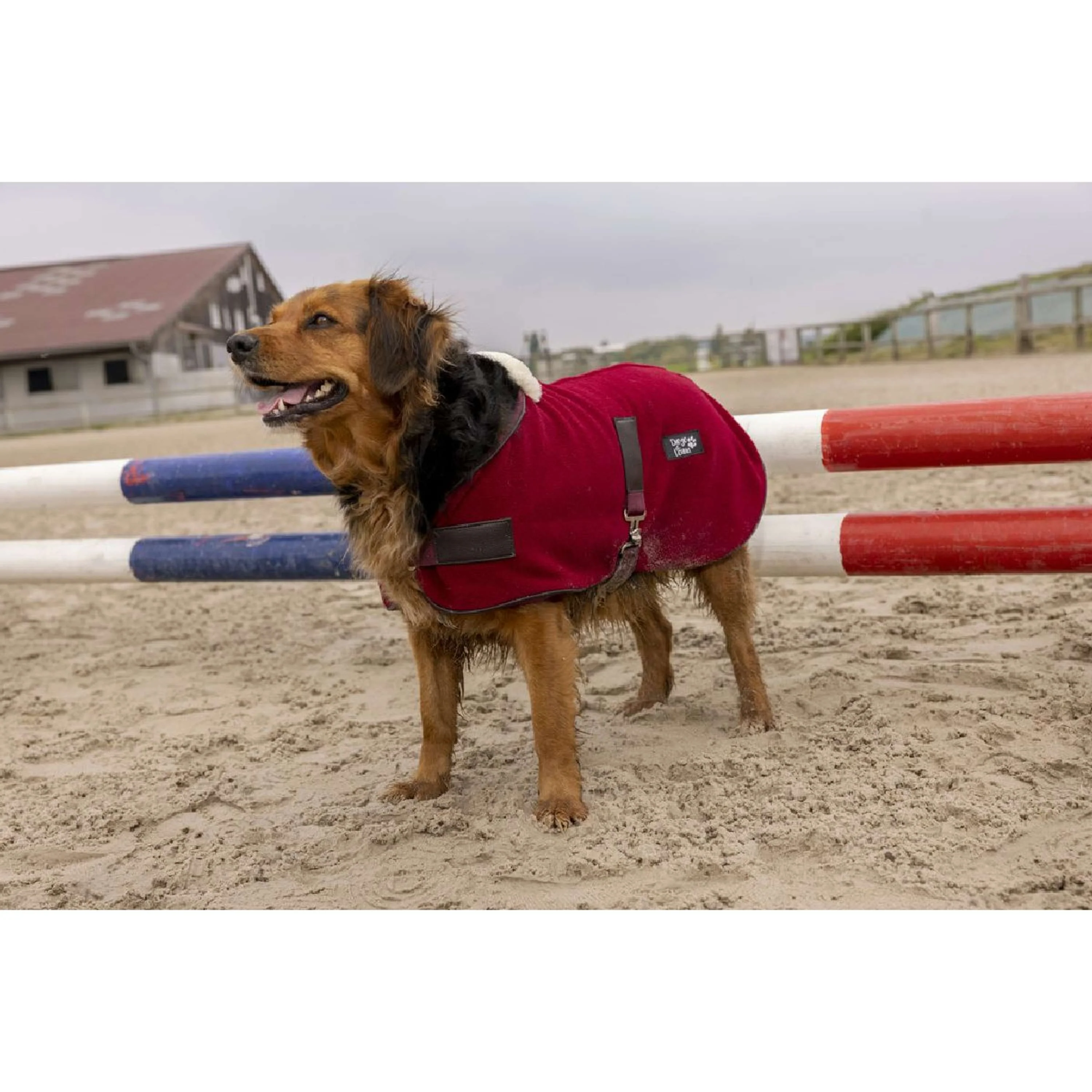 Diego & Louna Couverture pour Chien Polar Bordeaux - Image 2