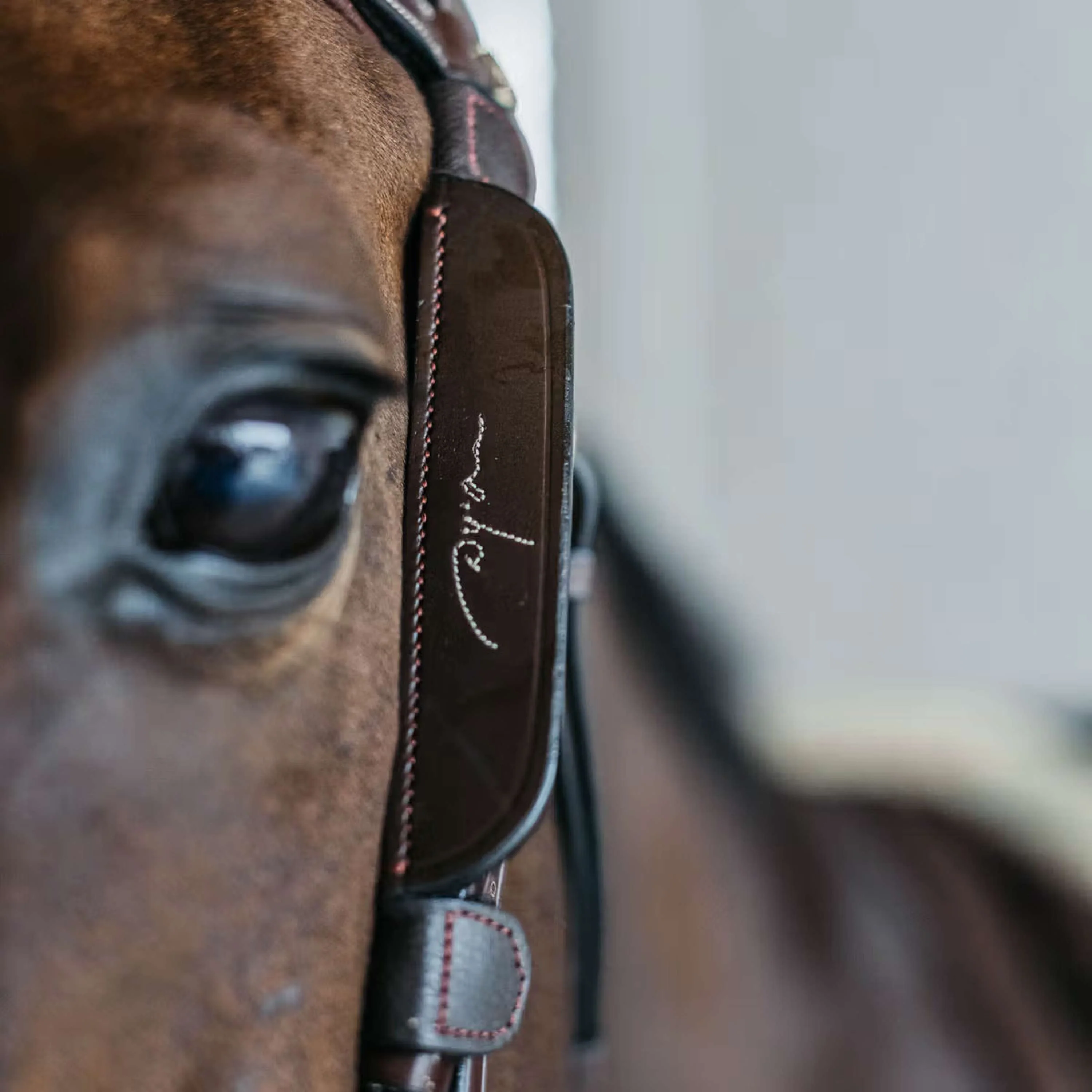 Dyon Blinkers Fancy Marron - Image 2