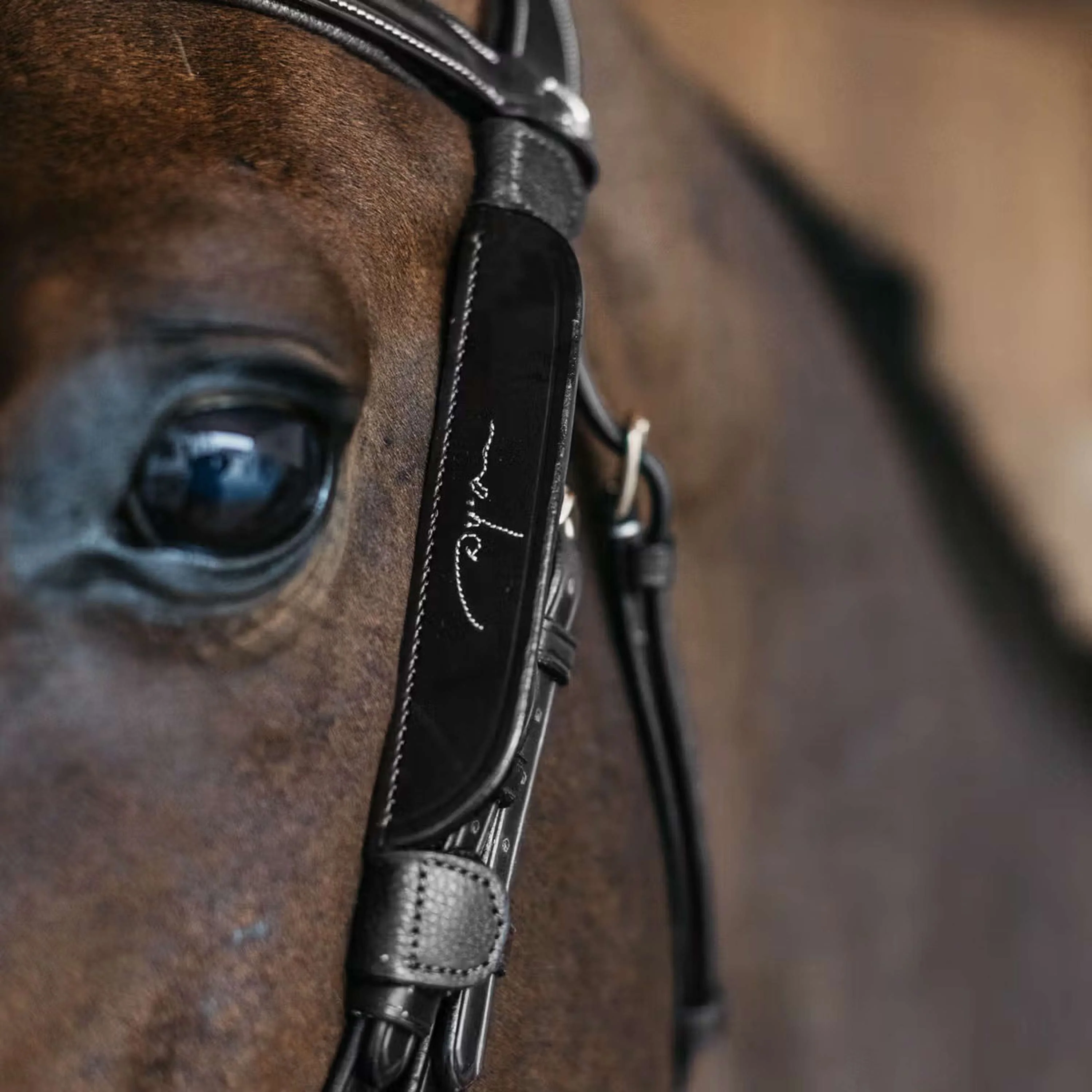 Dyon Blinkers Fancy Noir - Image 2