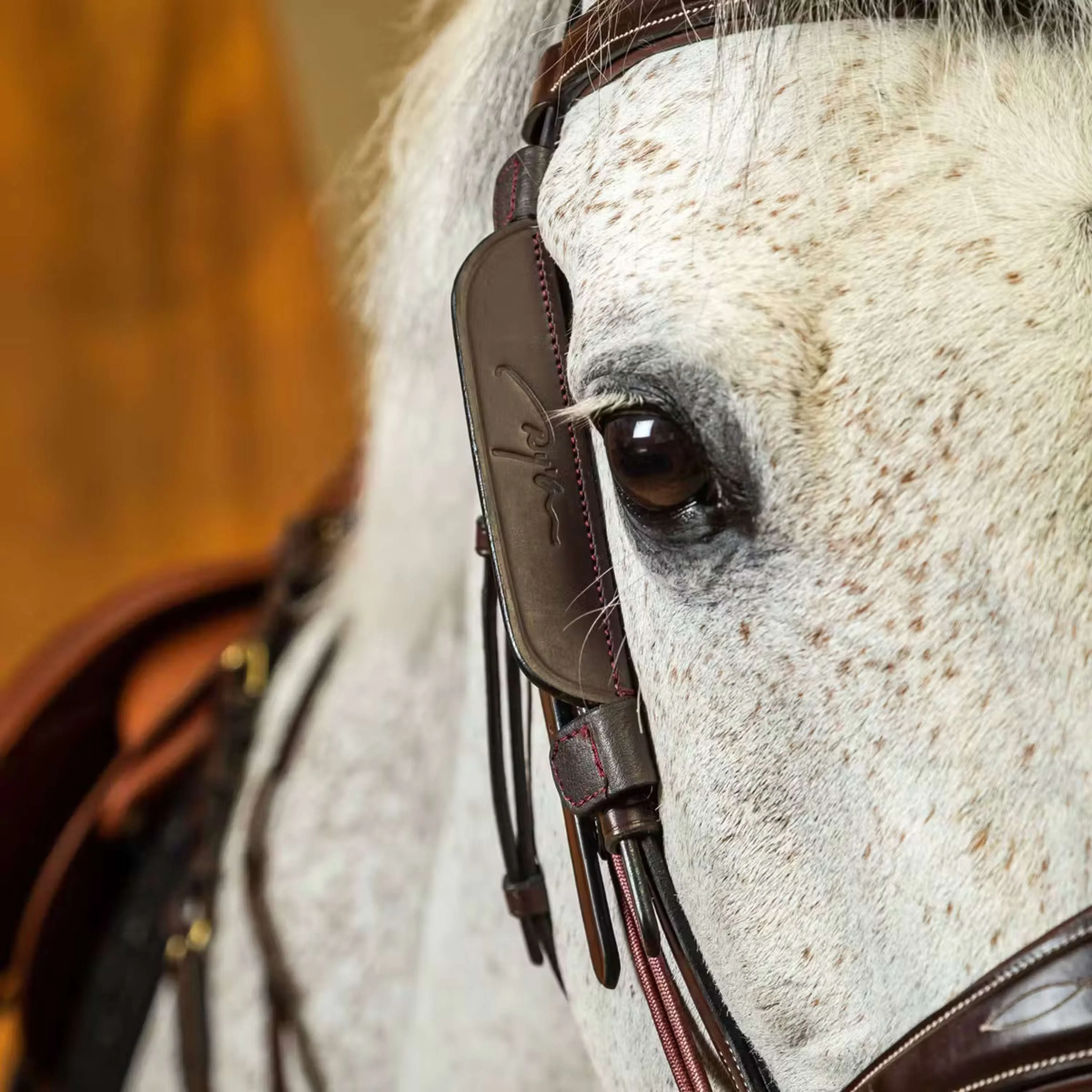 Dyon Blinkers Marron - Image 2
