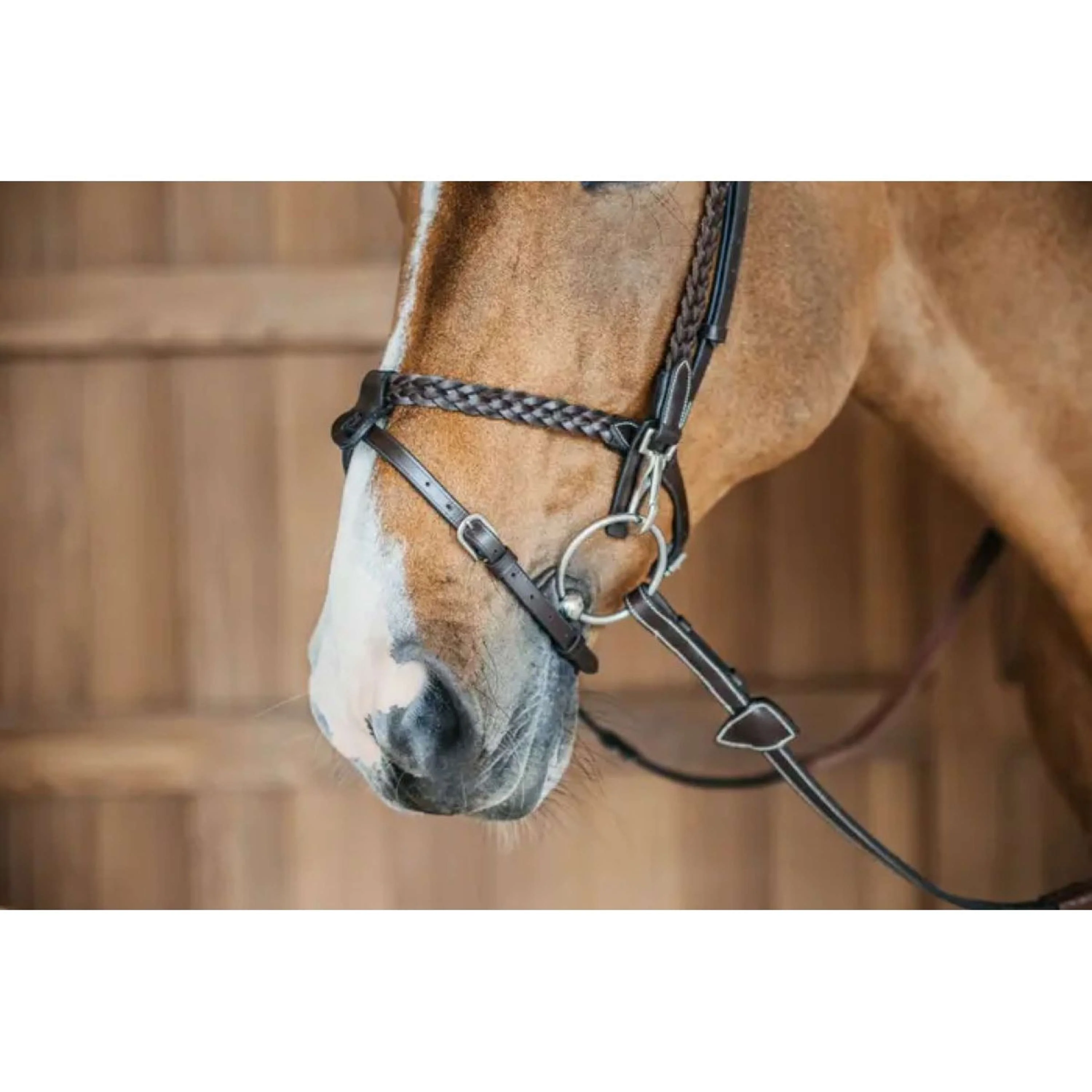 Dyon Bride Training Marron - Image 2