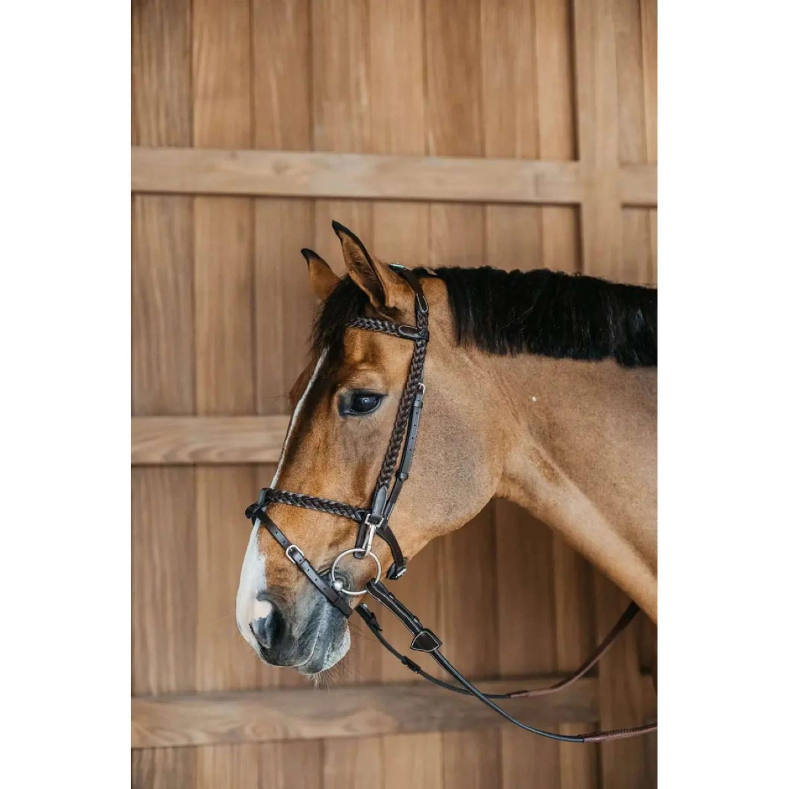 Dyon Bride Training Marron - Image 4