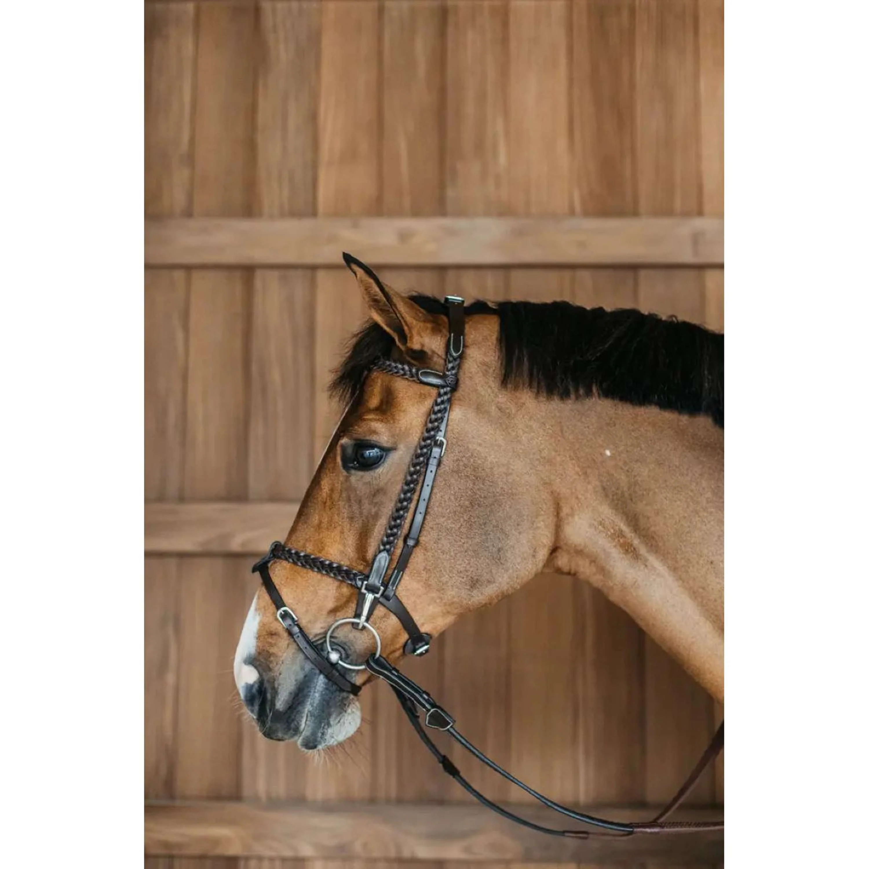 Dyon Bride Training Marron - Image 5
