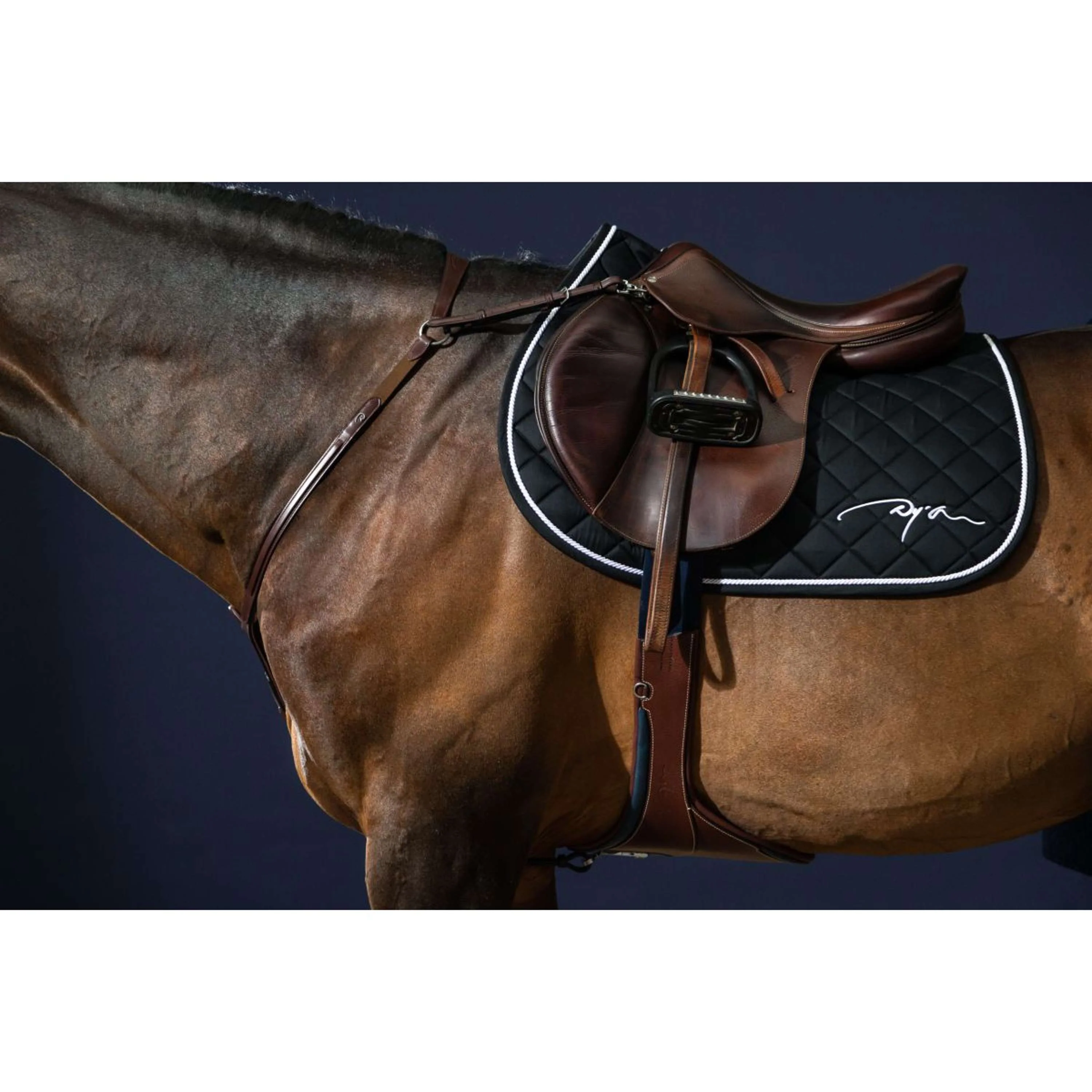Dyon Collier de Chasse Bridge New English Collection Marron - Image 5