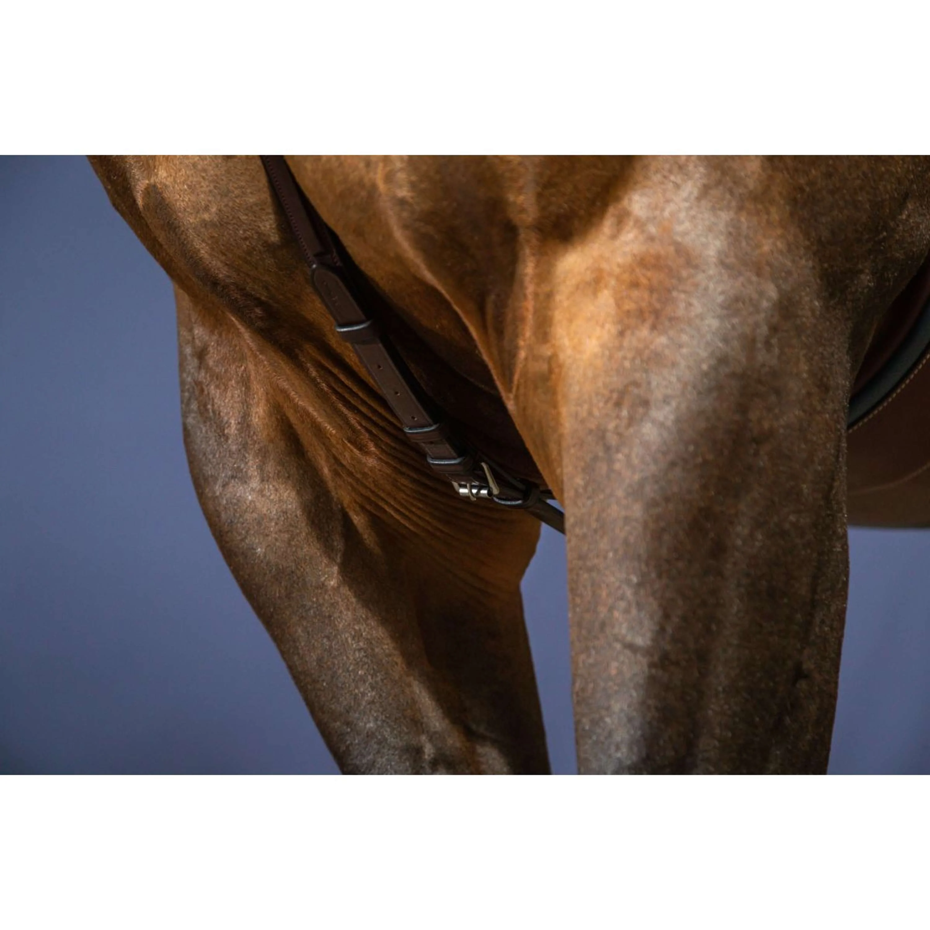 Dyon Collier de Chasse Bridge New English Collection Marron - Image 6