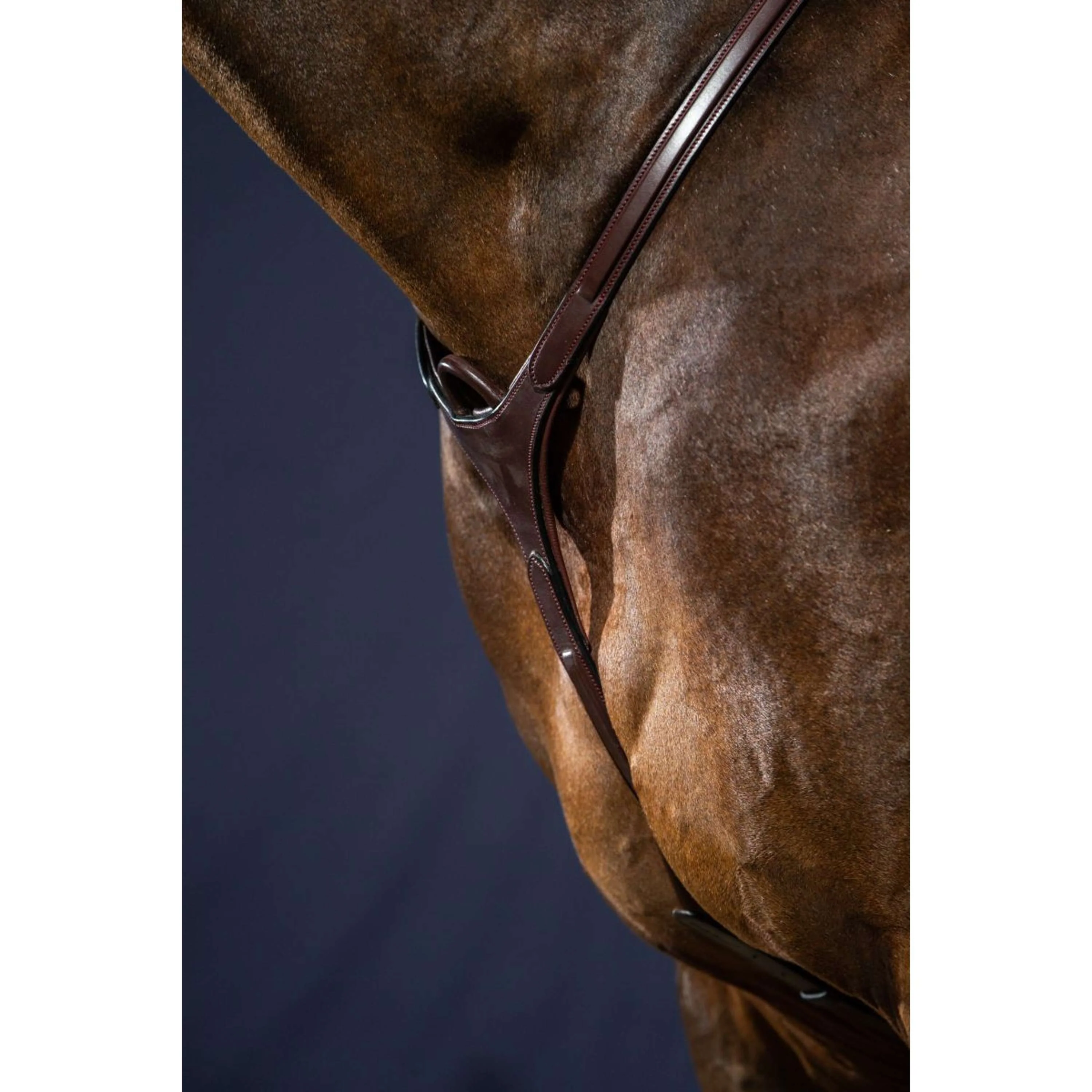 Dyon Collier de Chasse Bridge New English Collection Marron - Image 9