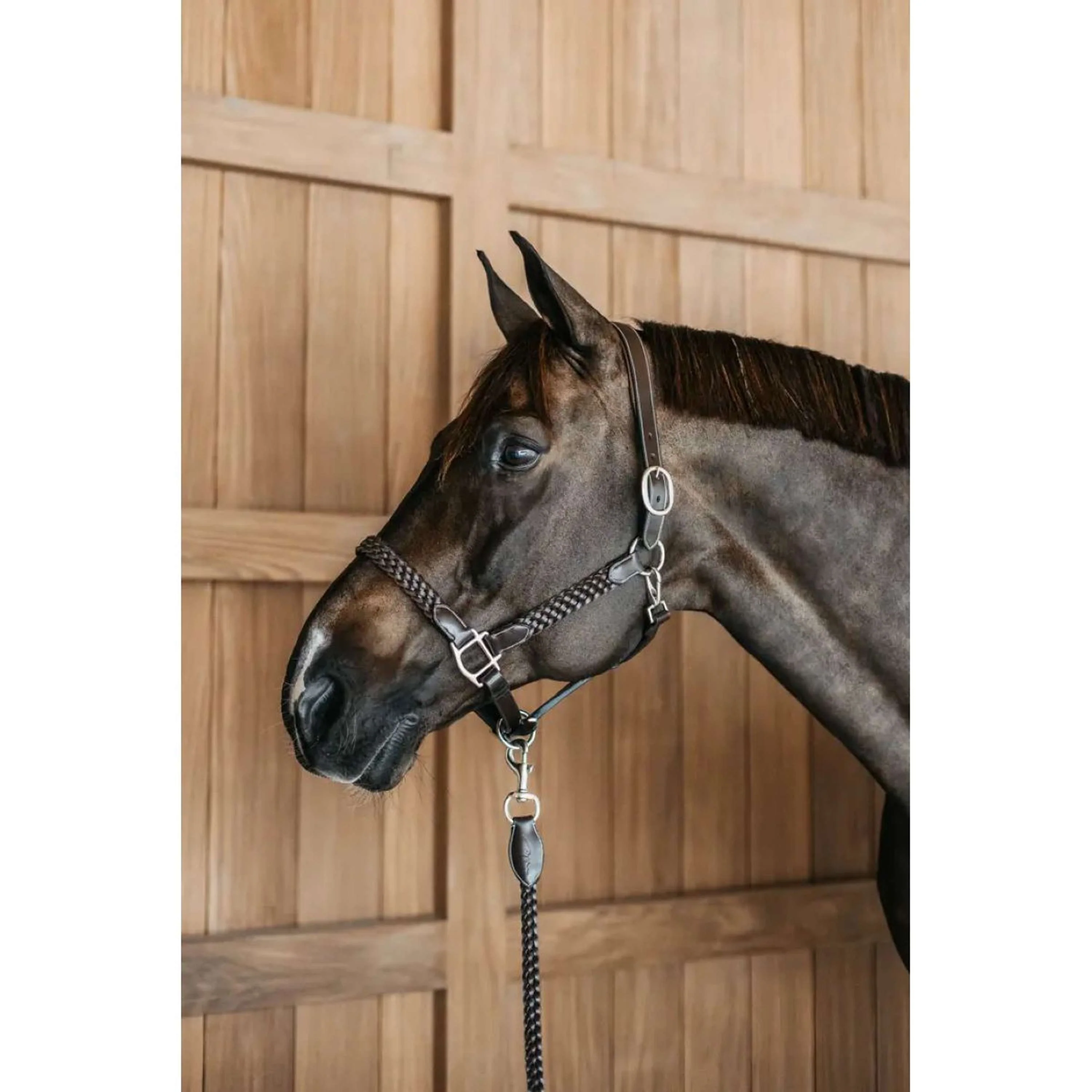 Dyon Licol Plaited Marron - Image 4