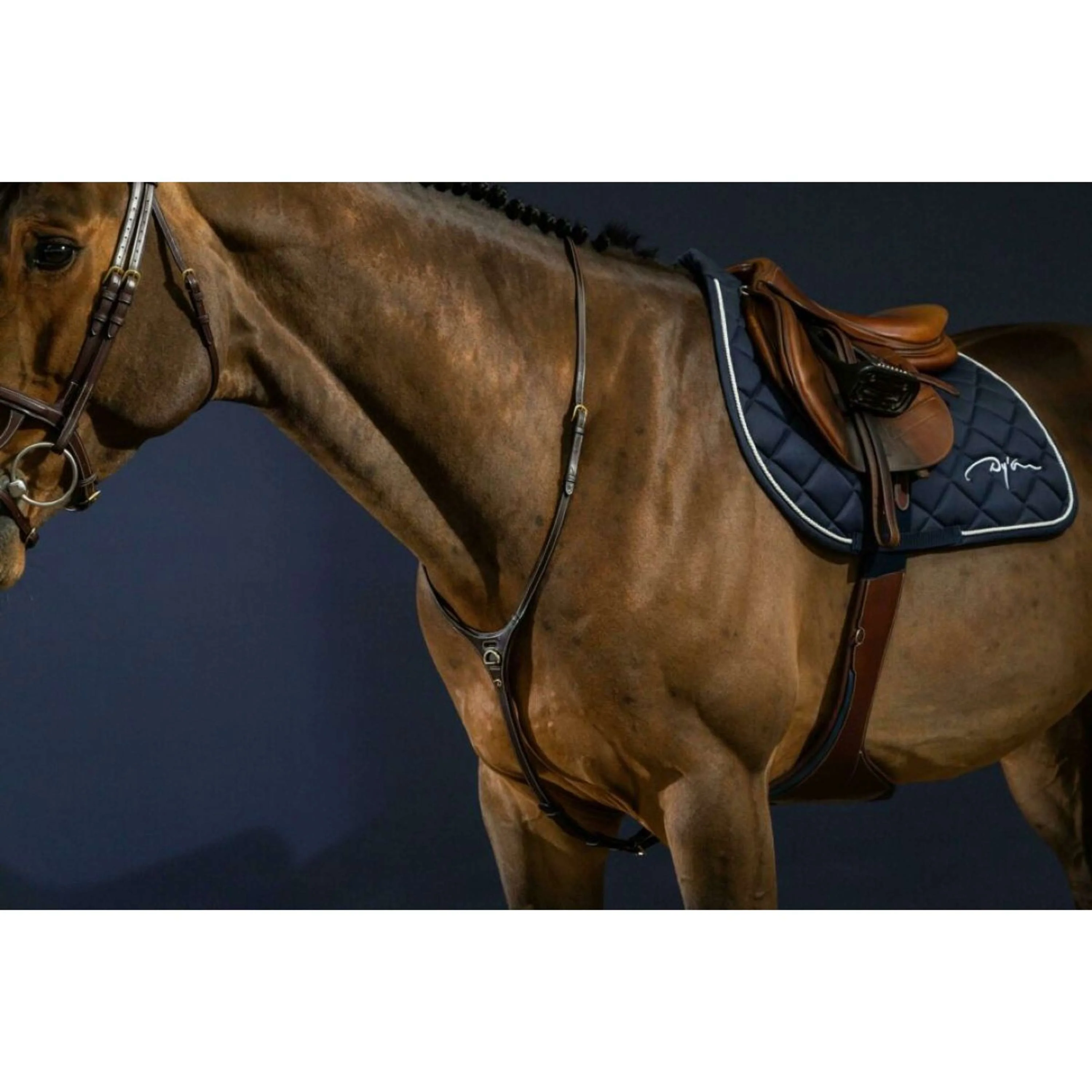 Dyon Martingale Yoke Marron - Image 2