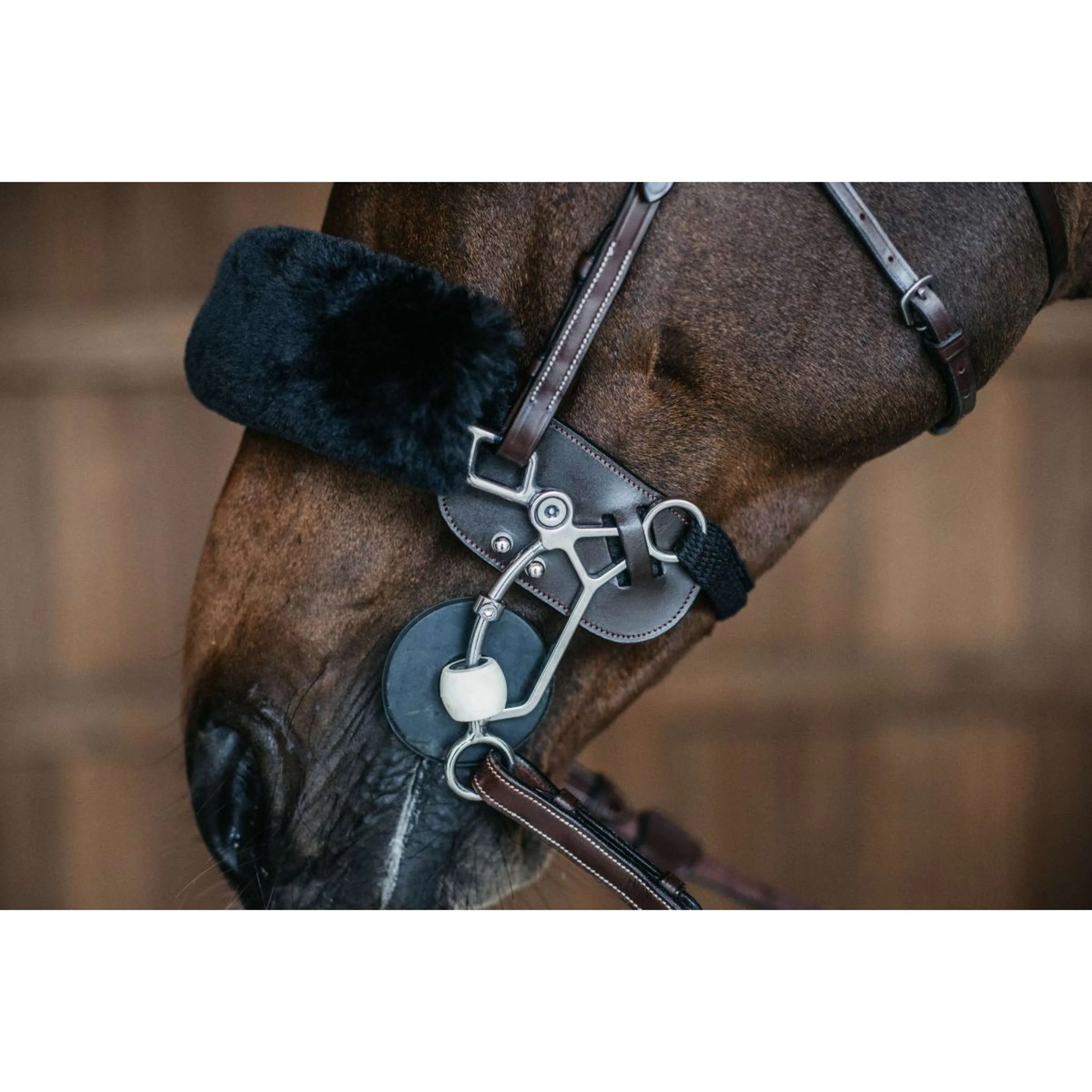 Dyon Protection Hackamore Marron - Image 2