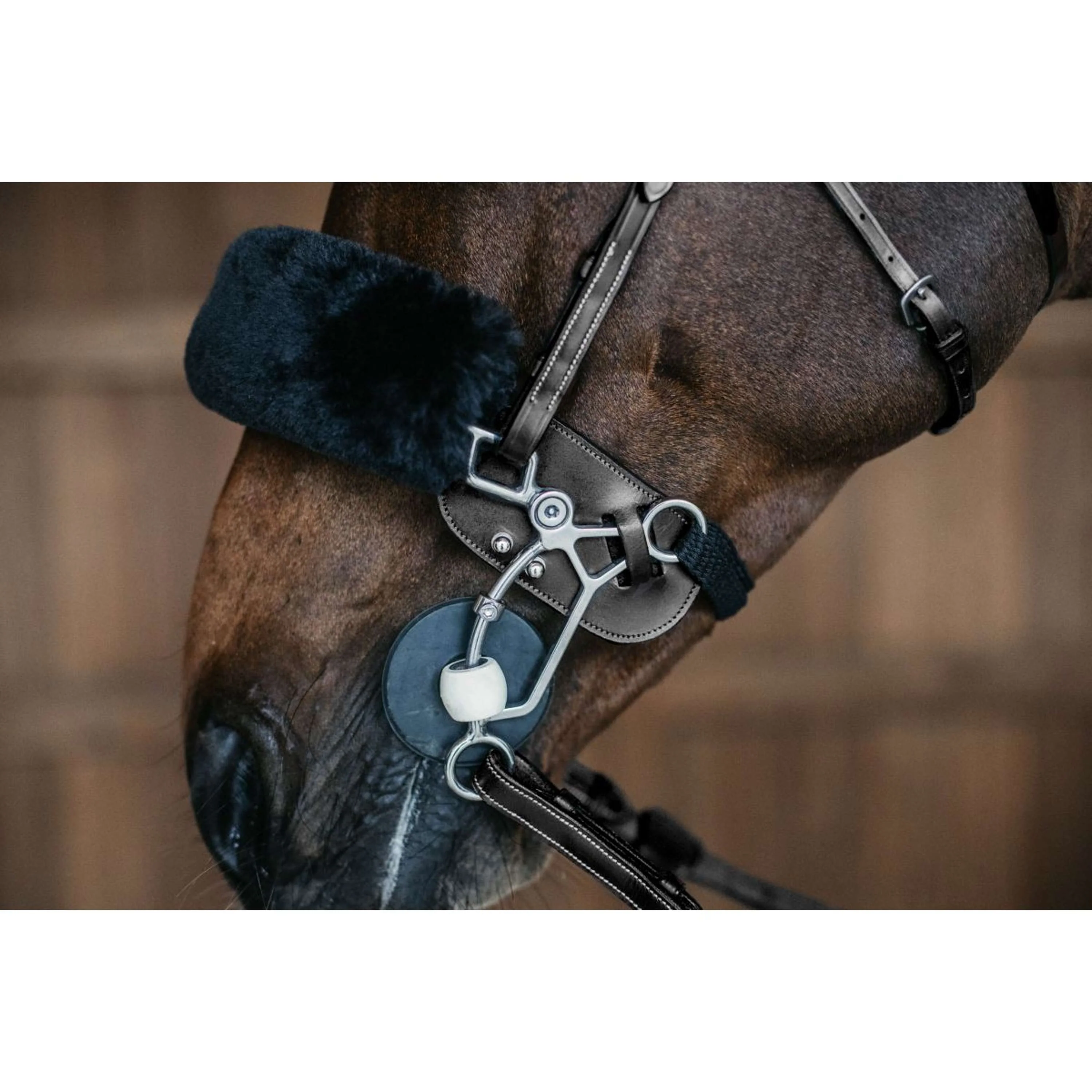Dyon Protection Hackamore Noir - Image 2