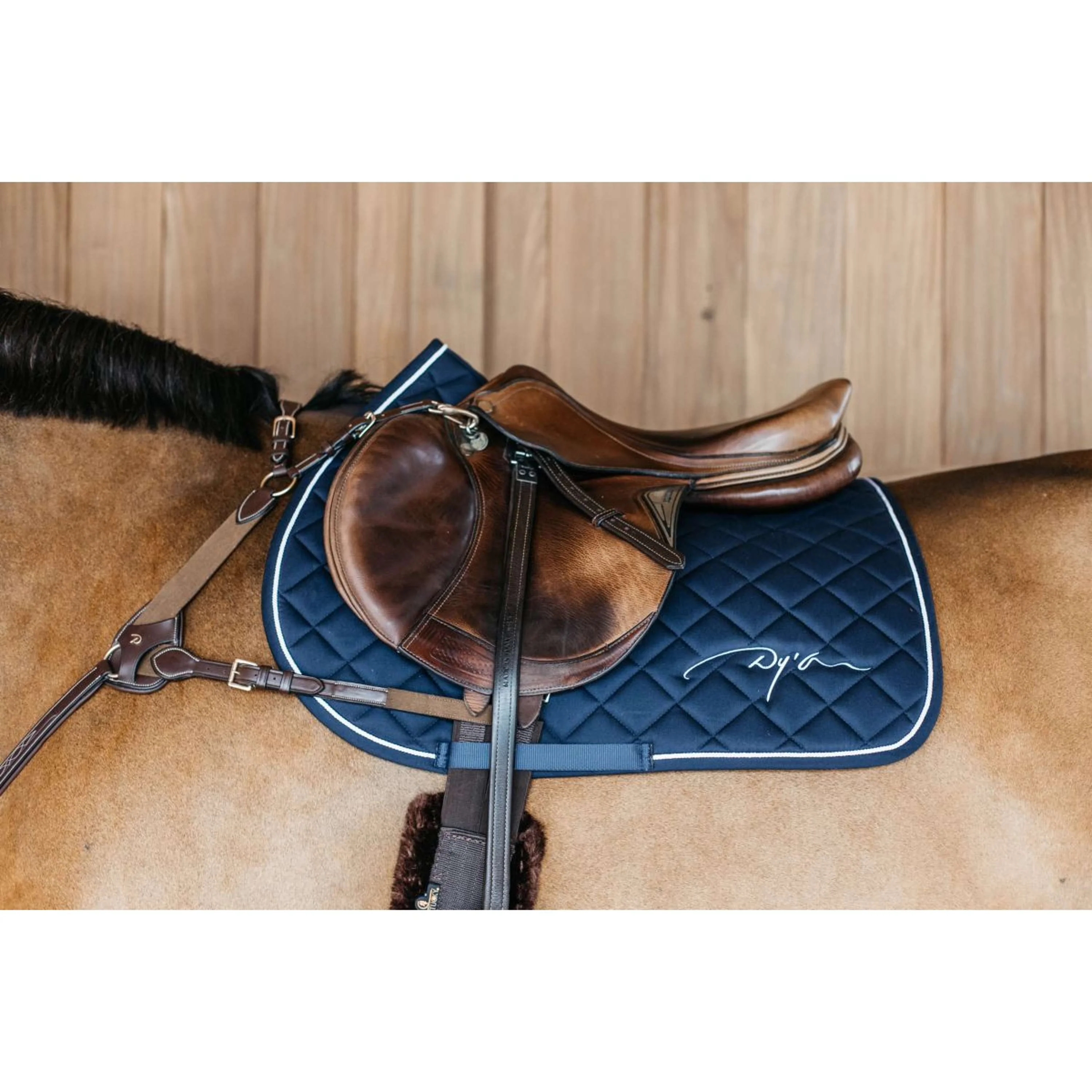 Dyon Tapis de Selle Diamond de Saut Marin - Image 2
