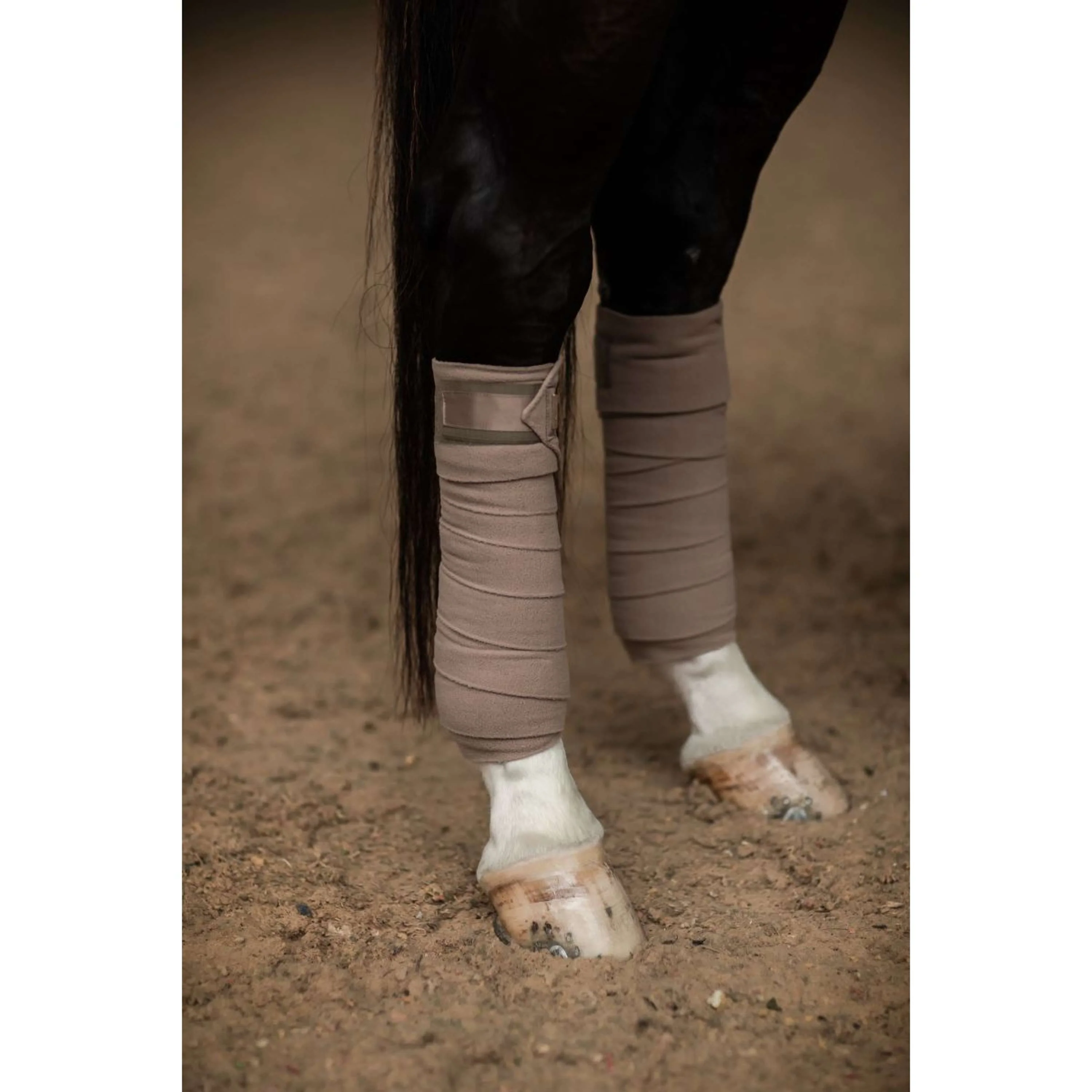Equestrian Stockholm Bandages Champagne - Image 2