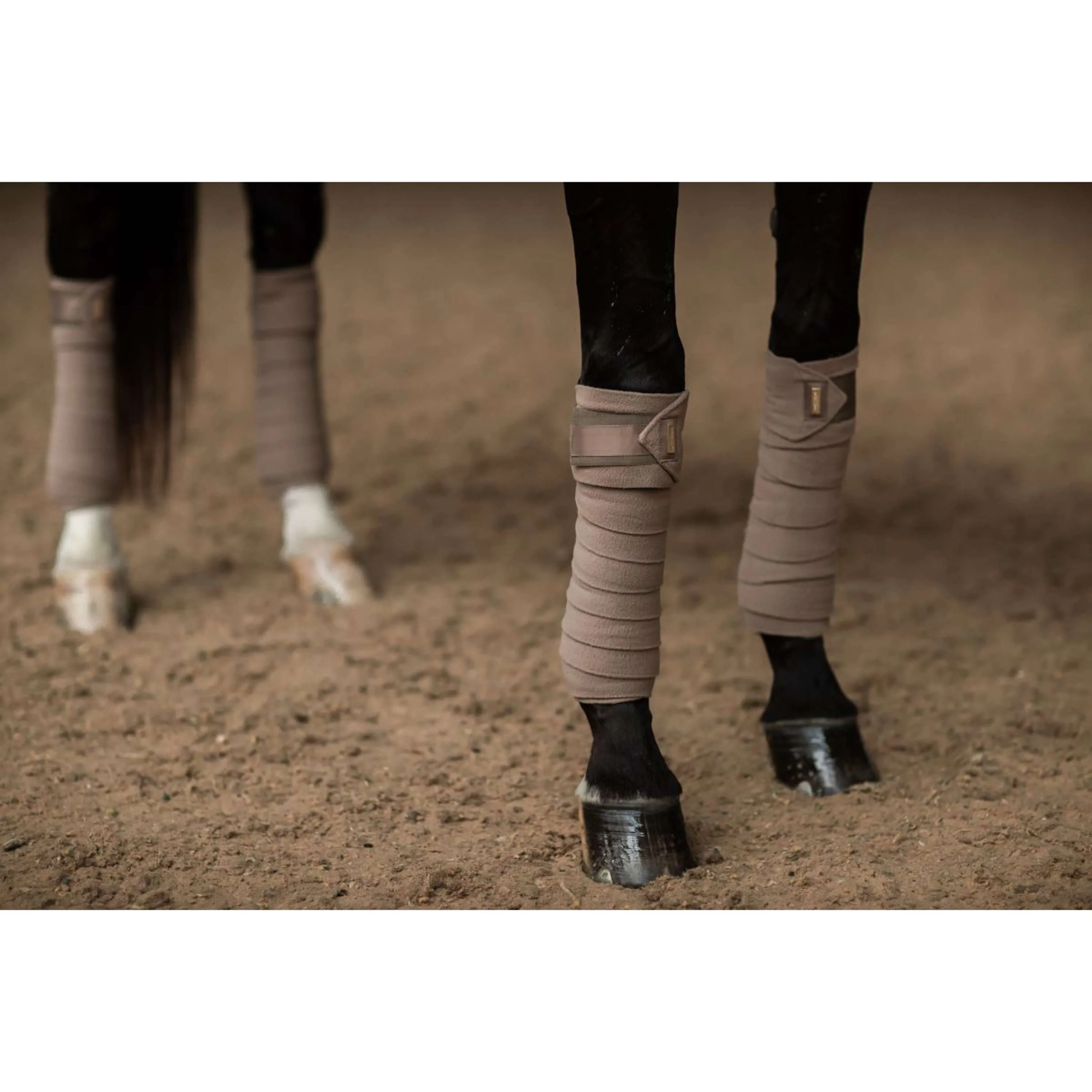 Equestrian Stockholm Bandages Champagne - Image 3