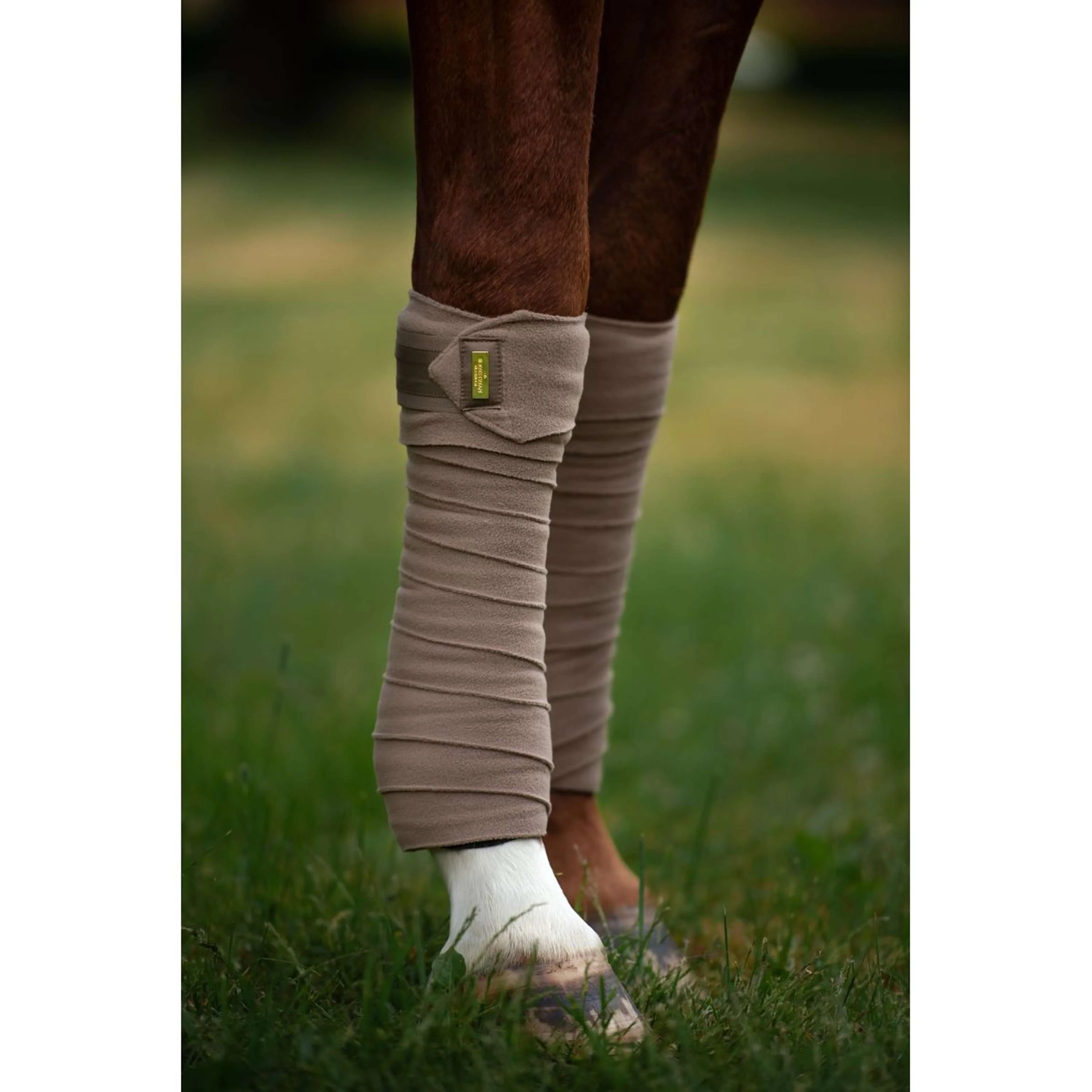 Equestrian Stockholm Bandages Champagne - Image 6