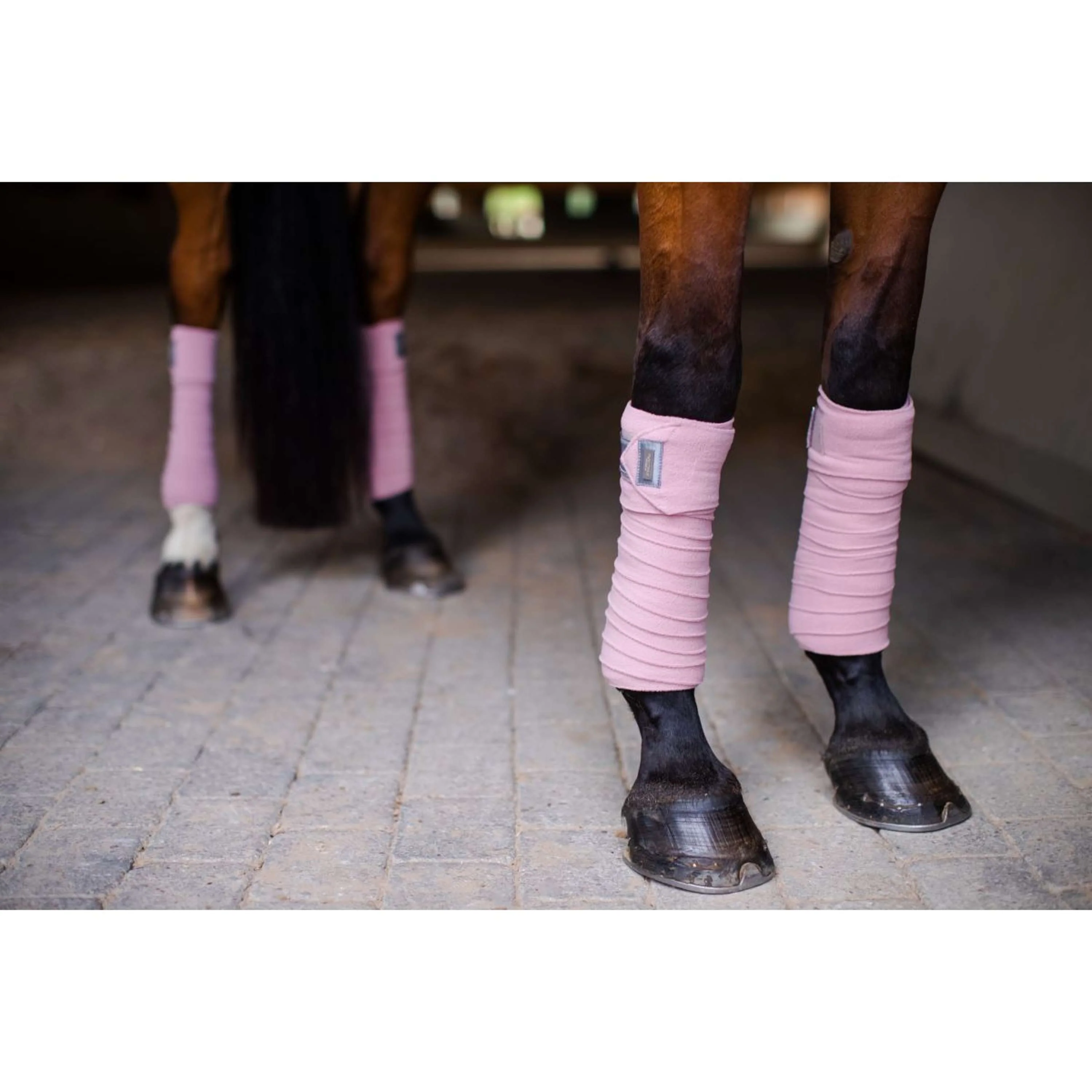 Equestrian Stockholm Bandages Rose - Image 2