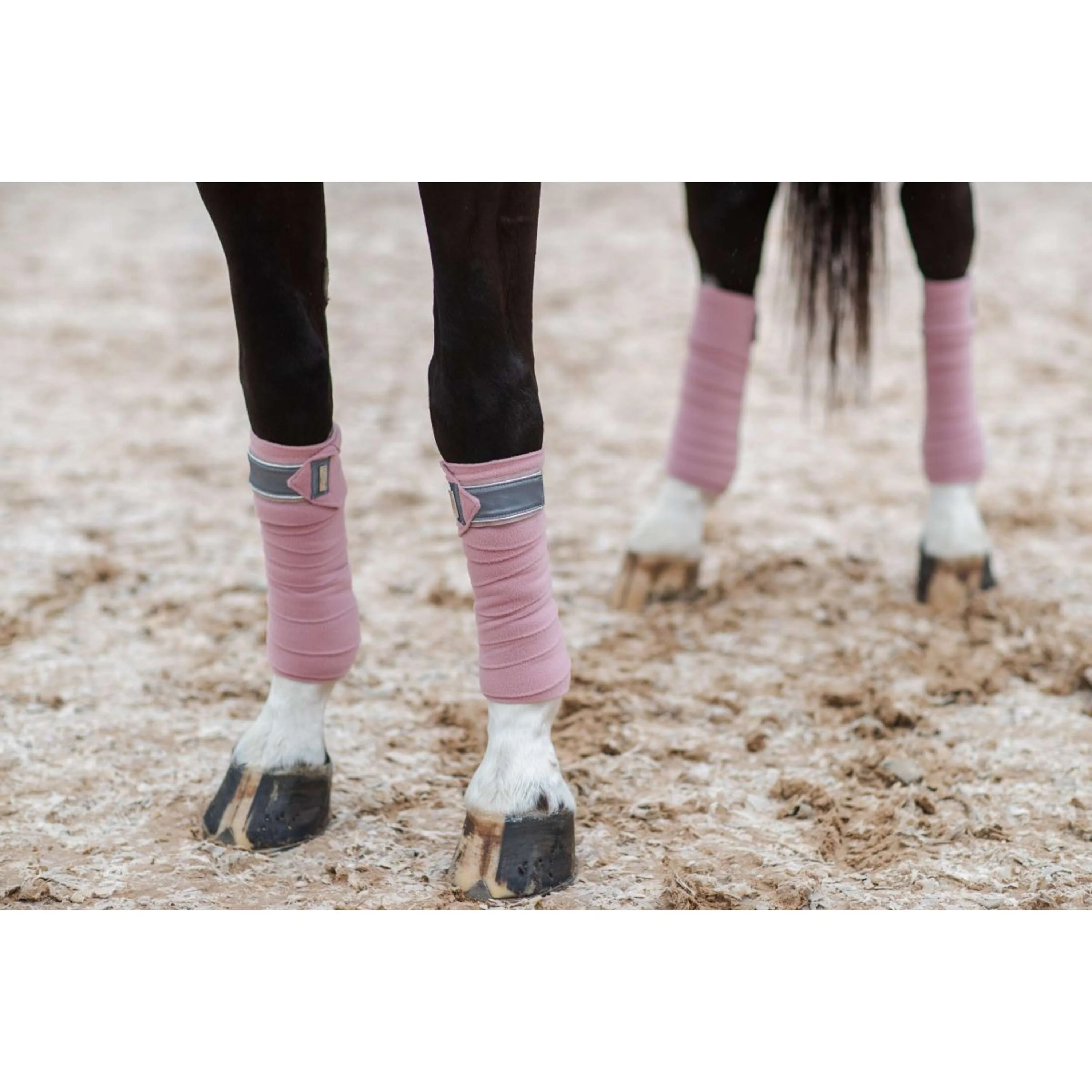 Equestrian Stockholm Bandages Rose - Image 6