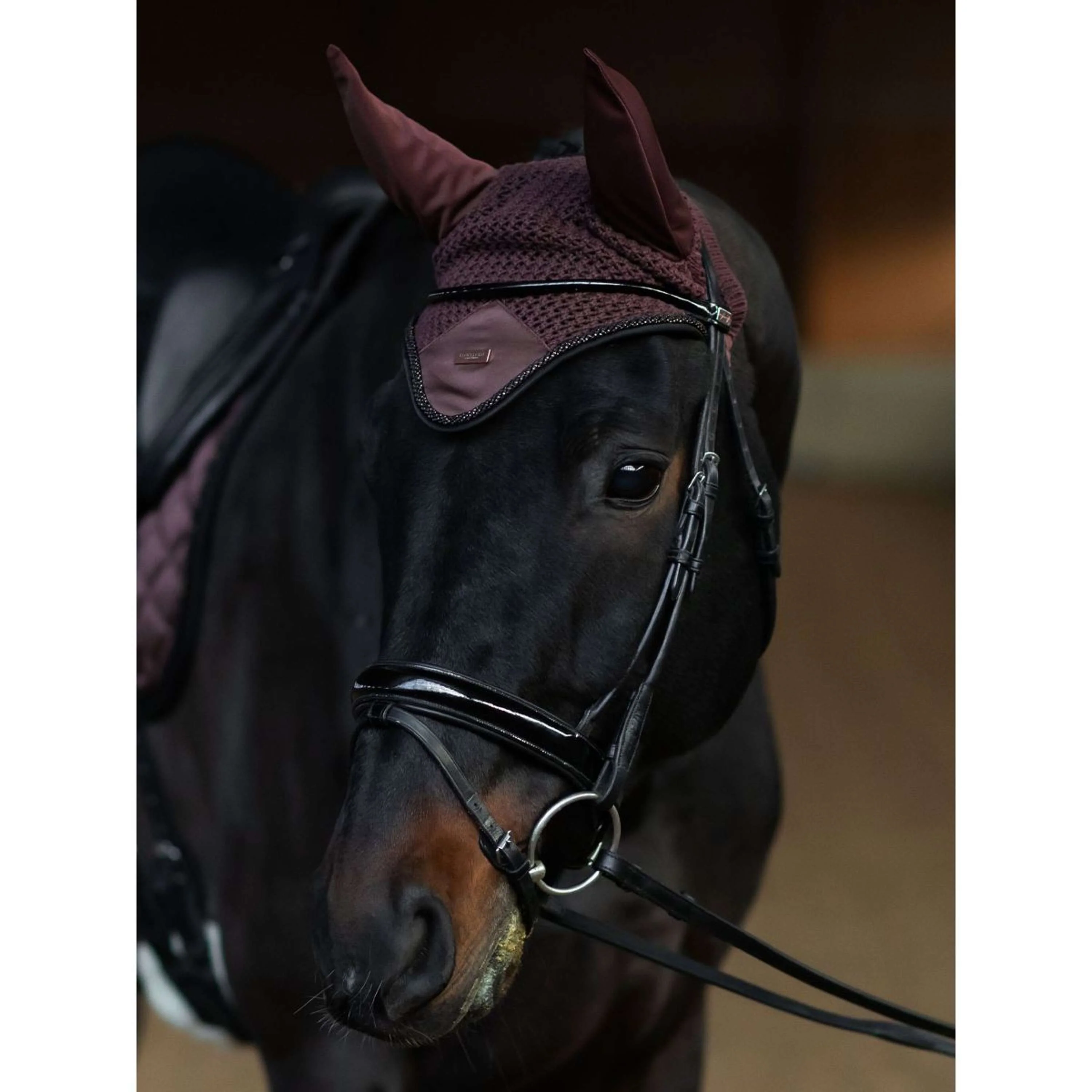 Equestrian Stockholm Bonnet Anti-Mouches Endless Glow - Image 2