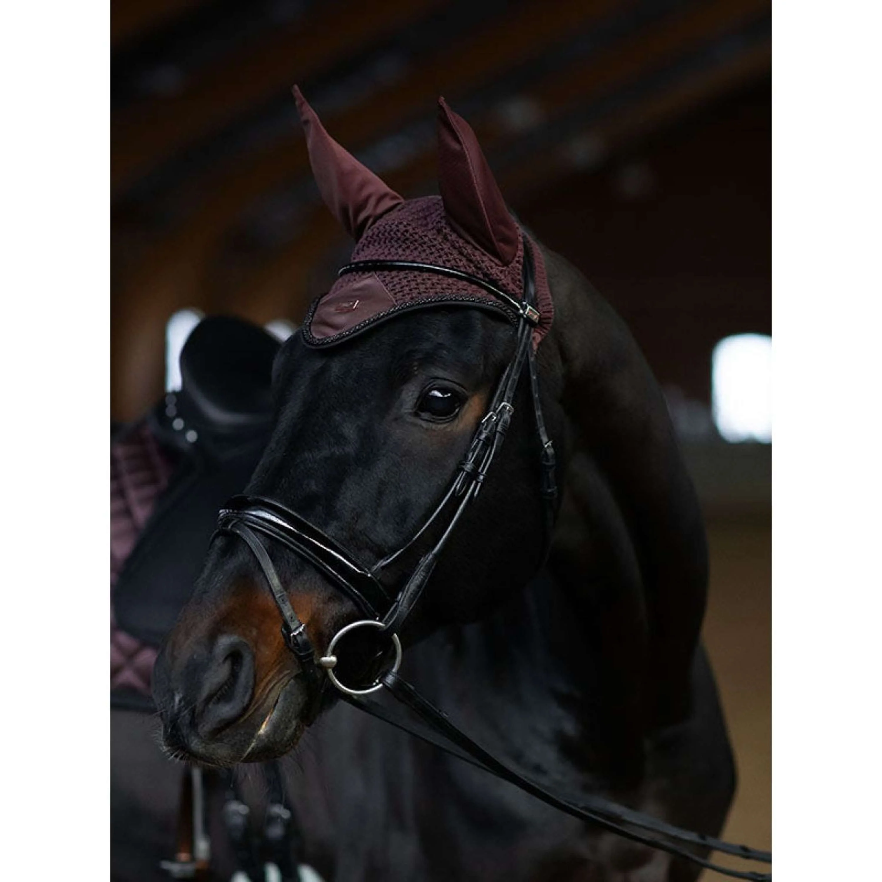 Equestrian Stockholm Bonnet Anti-Mouches Endless Glow - Image 5