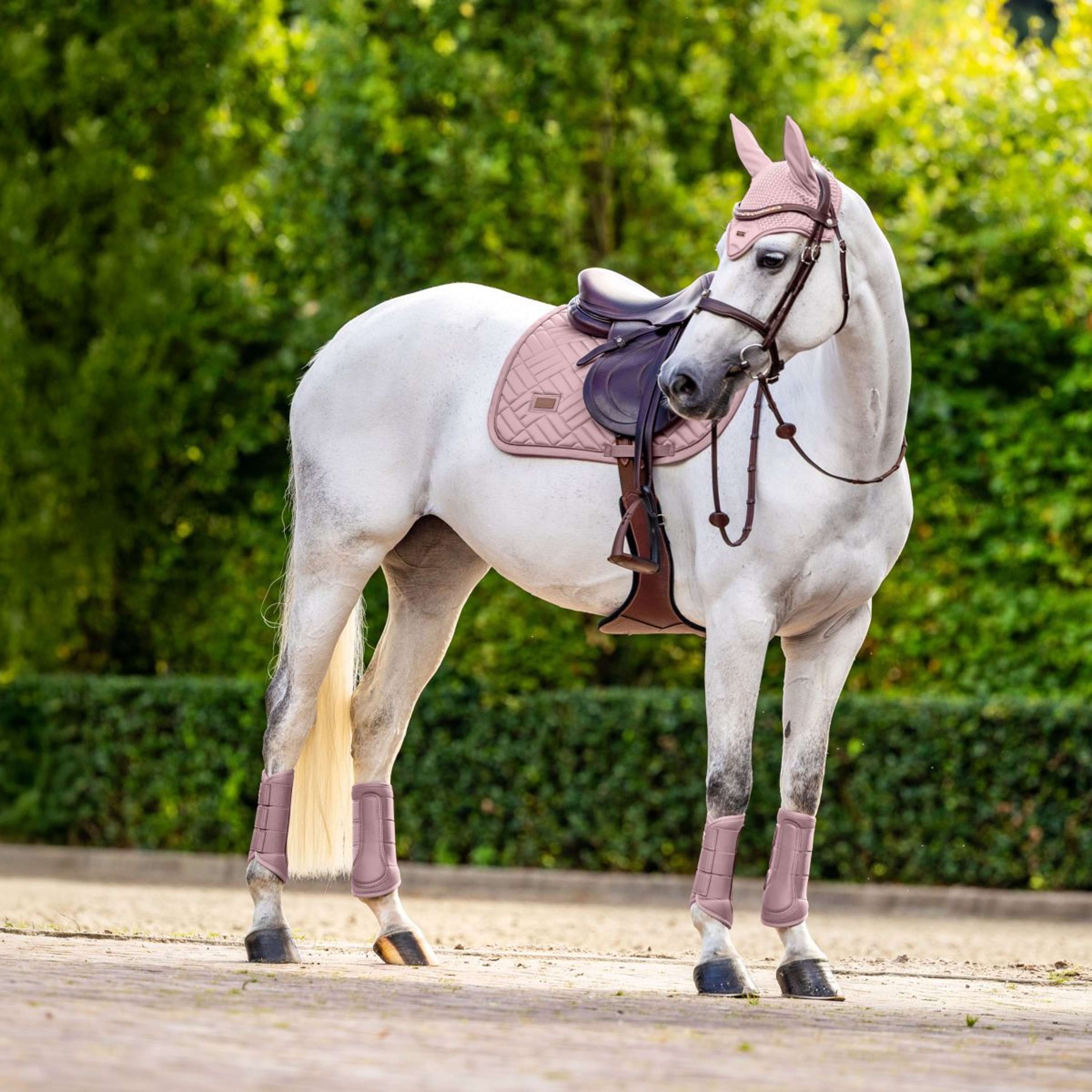 Equestrian Stockholm Guêtres Classic Mesh Midsummer Blush - Image 4