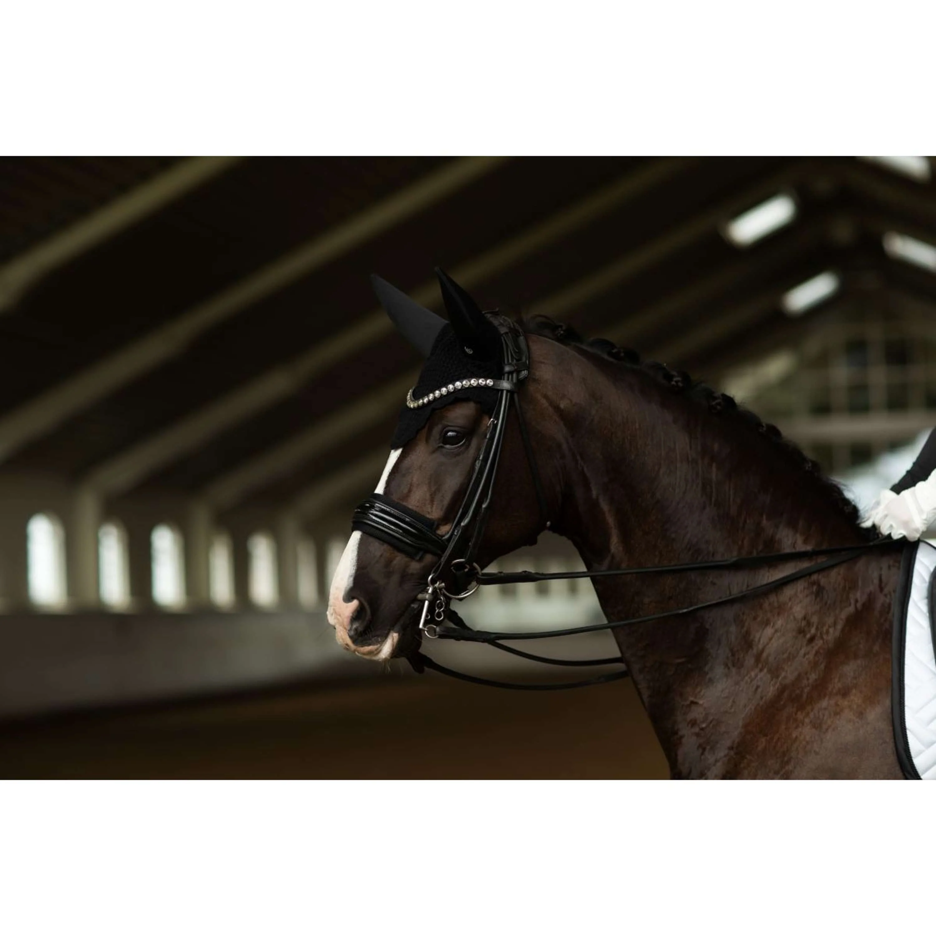 Equestrian Stockholm Bonnet Anti-Mouches Padded Clean Black - Image 3
