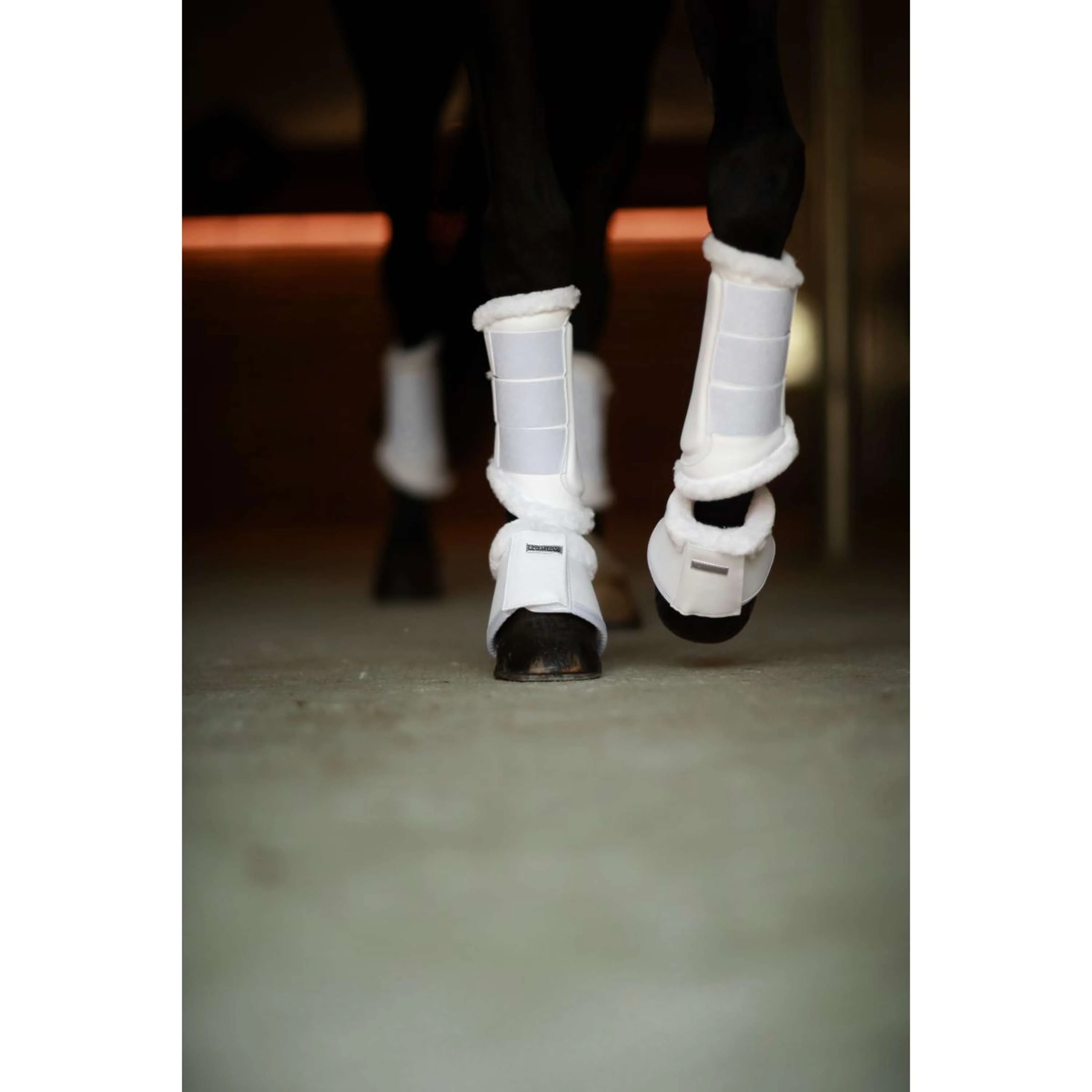 Equestrian Stockholm Cloches d'Obstacles White Silver - Image 5