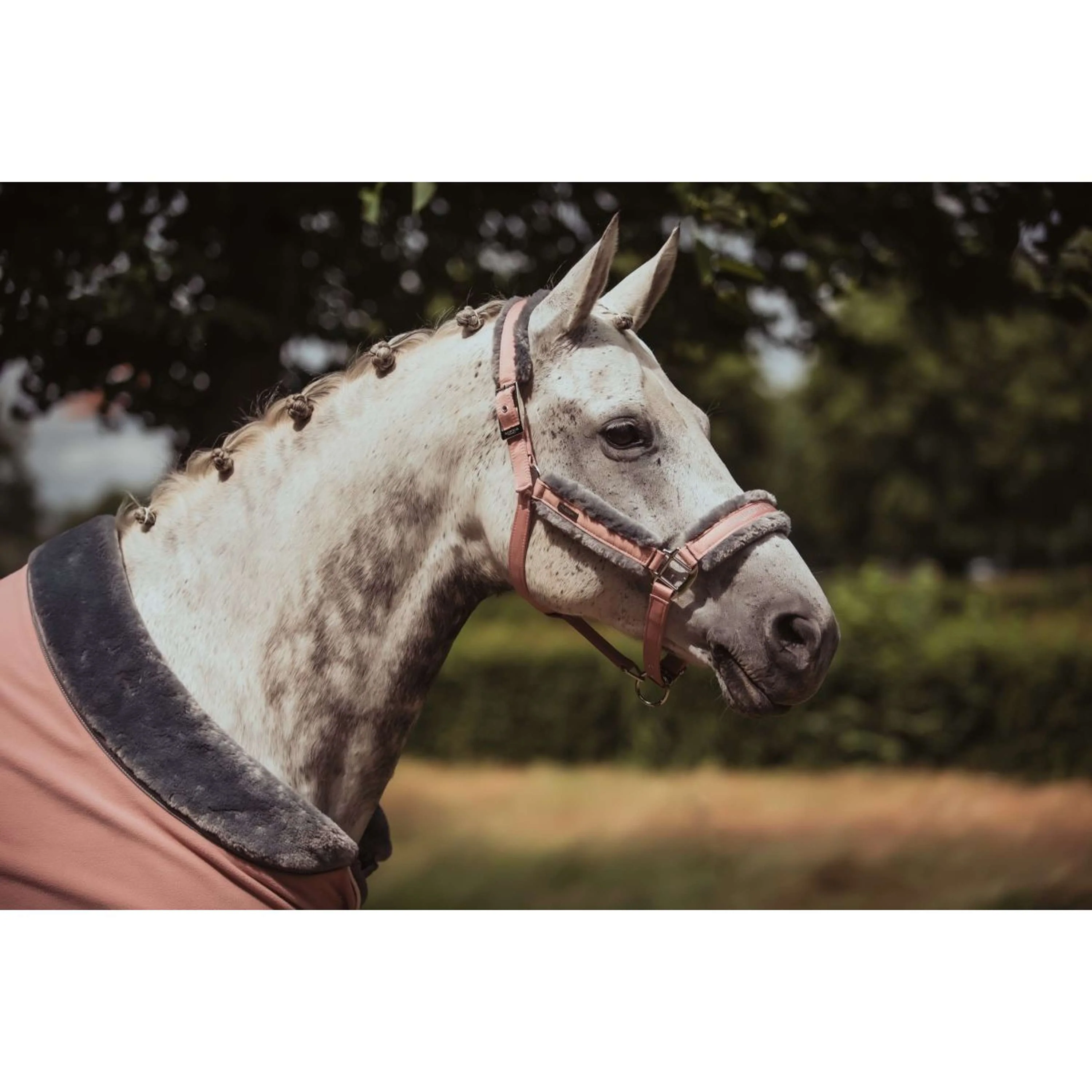 Equestrian Stockholm Couverture Polaire Fur Rose - Image 3
