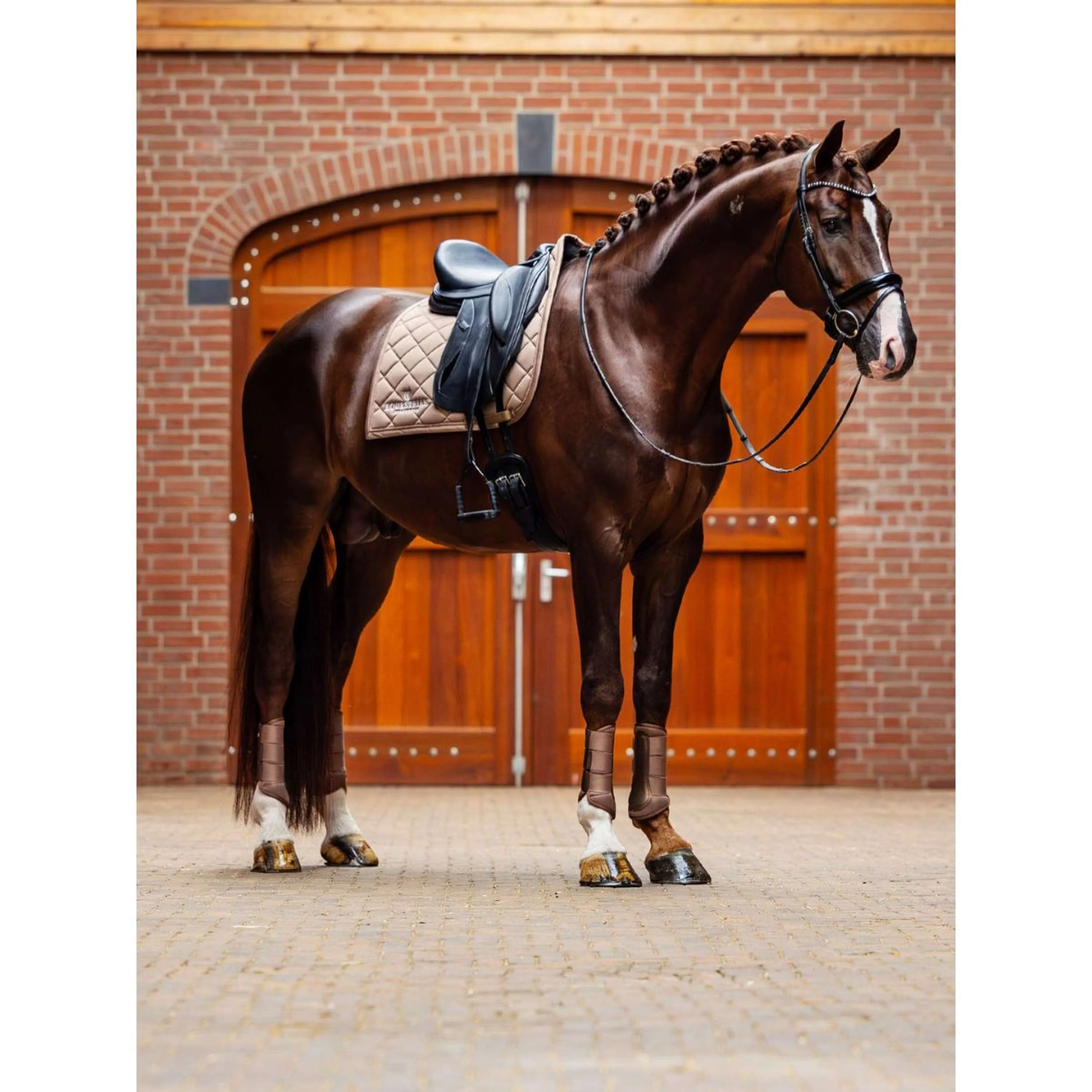 Equestrian Stockholm Guêtres Classic Mesh Champagne - Image 6