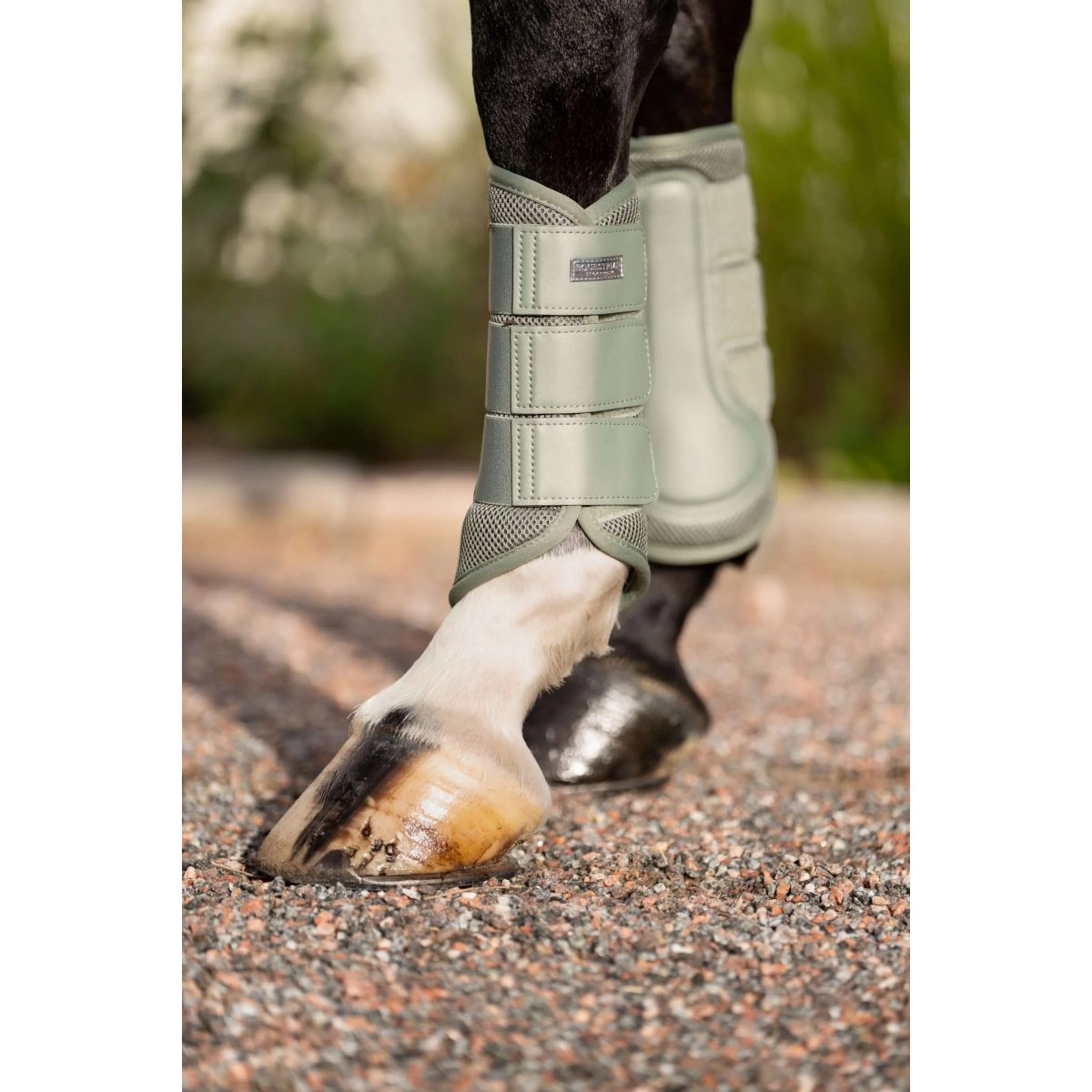 Equestrian Stockholm Guêtres Classic Mesh Pistachio White - Image 2