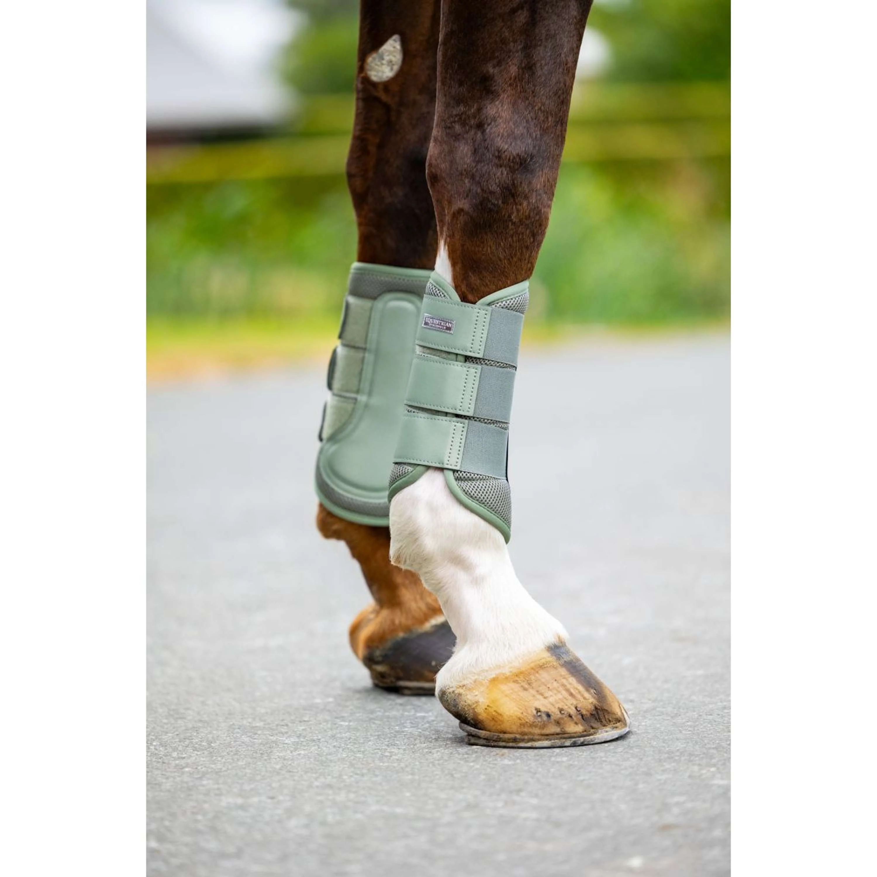 Equestrian Stockholm Guêtres Classic Mesh Pistachio White - Image 5