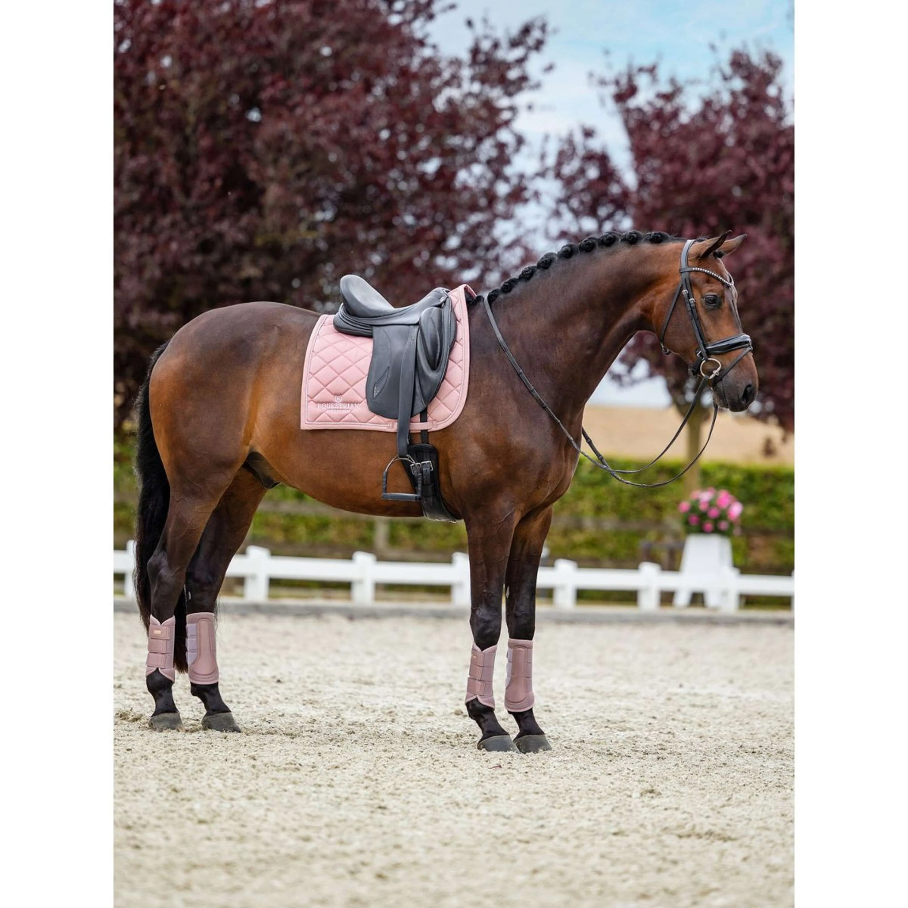 Equestrian Stockholm Guêtres Classic Mesh Rose - Image 4