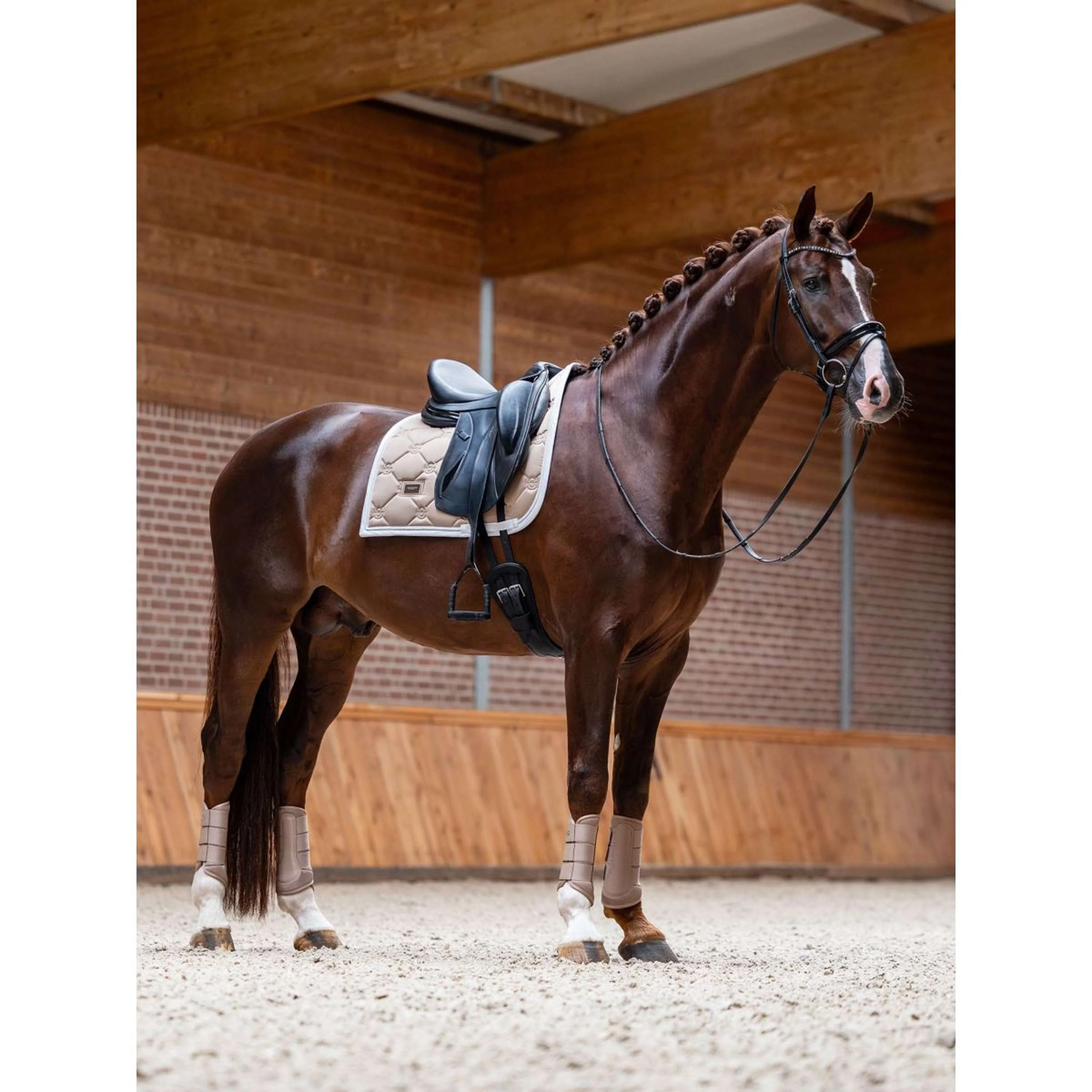 Equestrian Stockholm Tapis de Selle Dressage Sable - Image 2