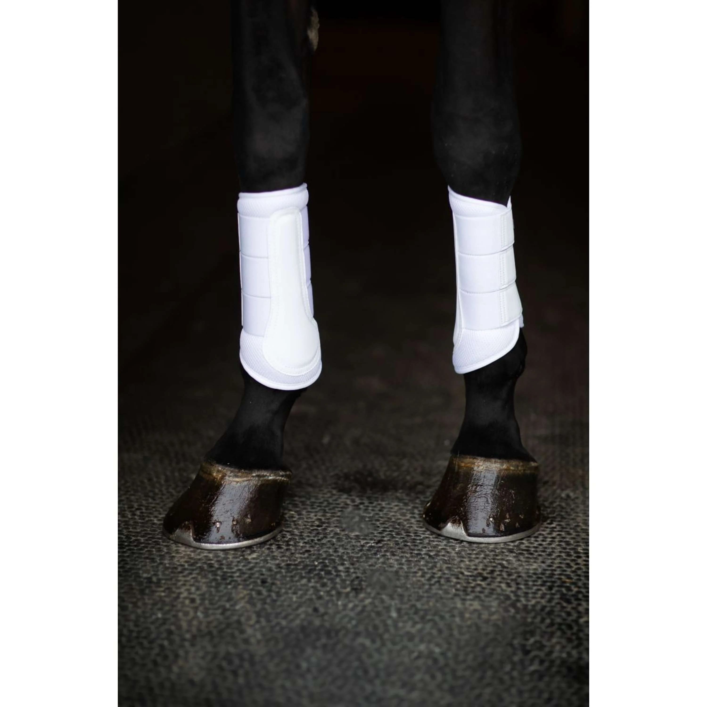 Equestrian Stockholm Guêtres Classic Mesh White Silver - Image 7