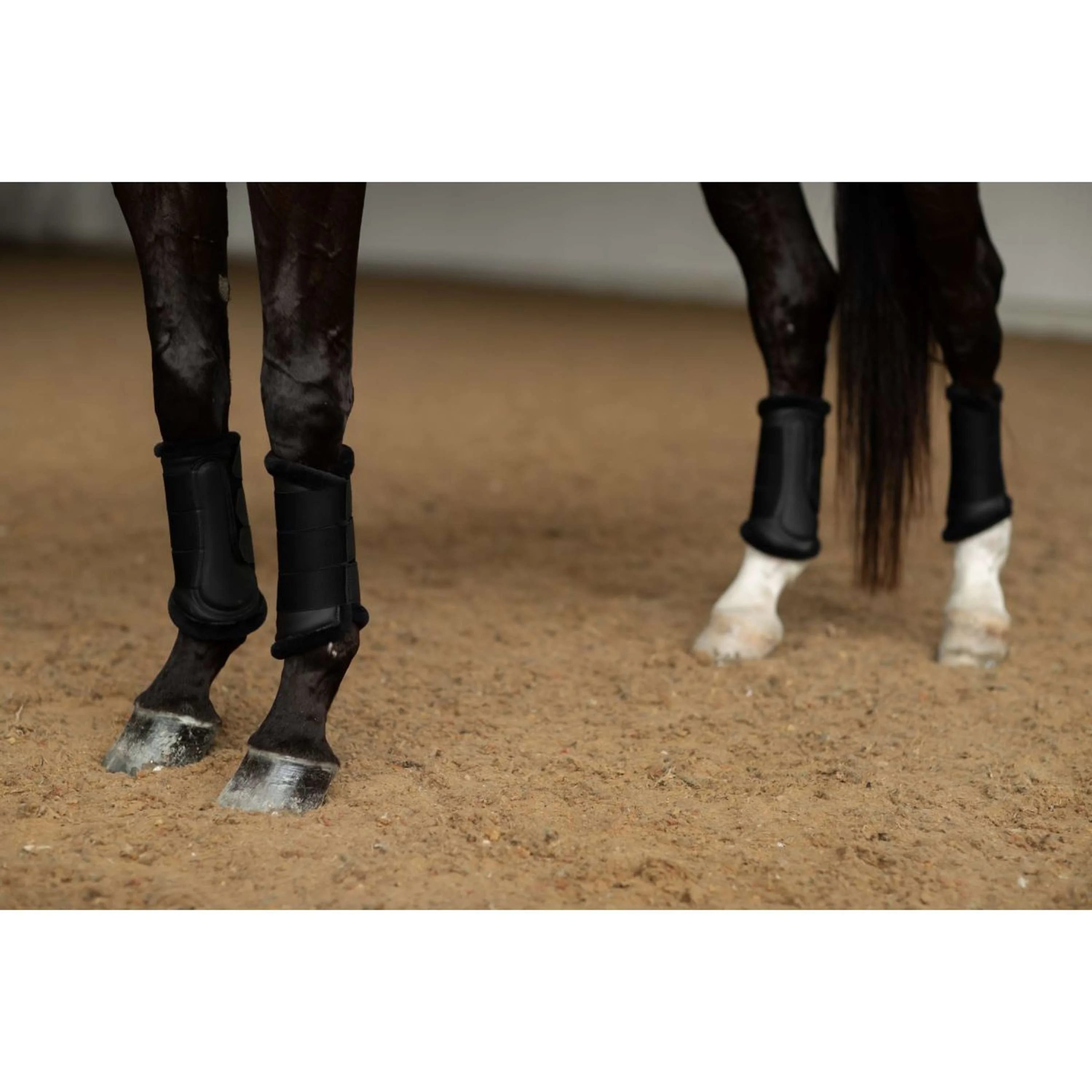 Equestrian Stockholm Guêtres Noir - Image 4