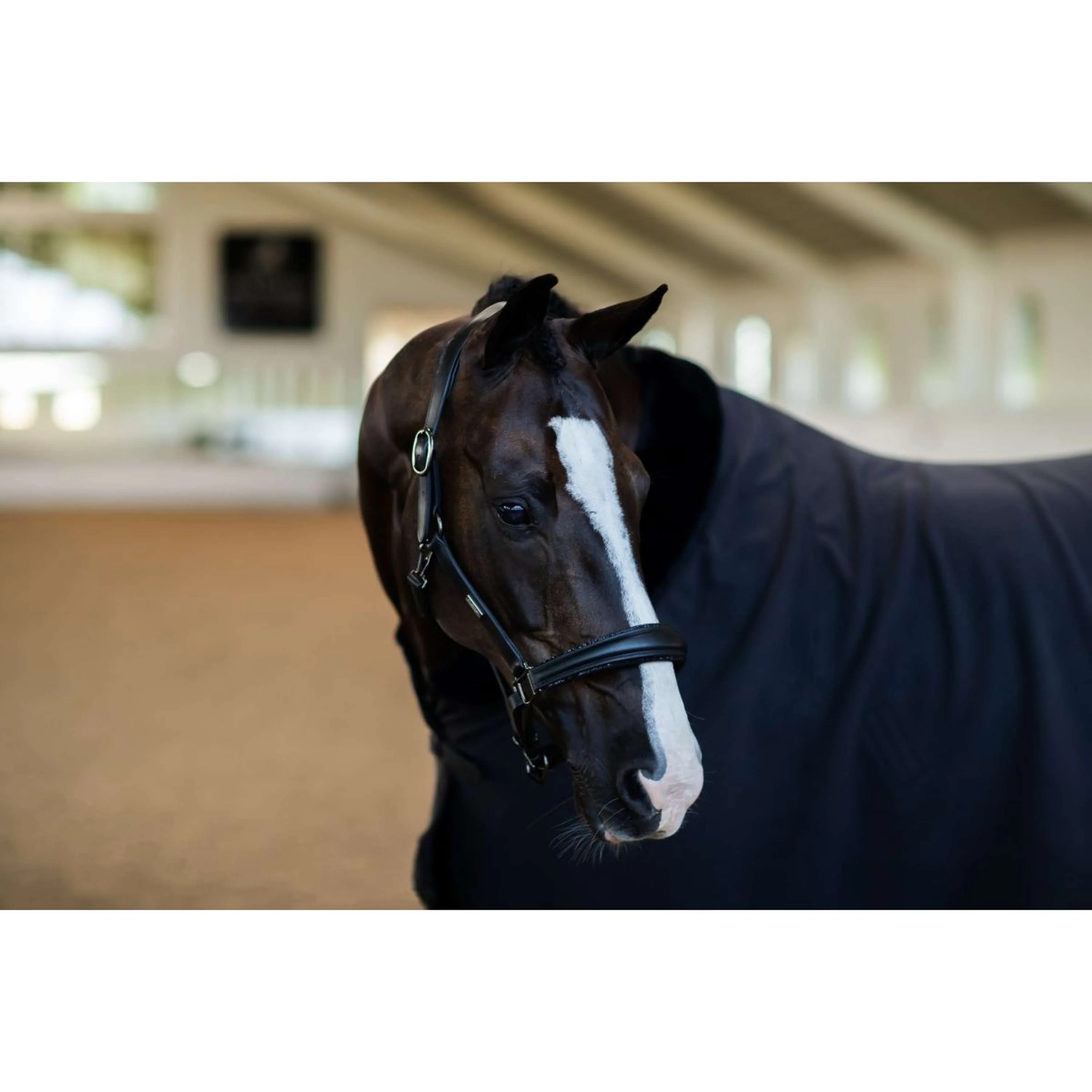 Equestrian Stockholm Licol Glimmer Anatomic Leather Noir - Image 2