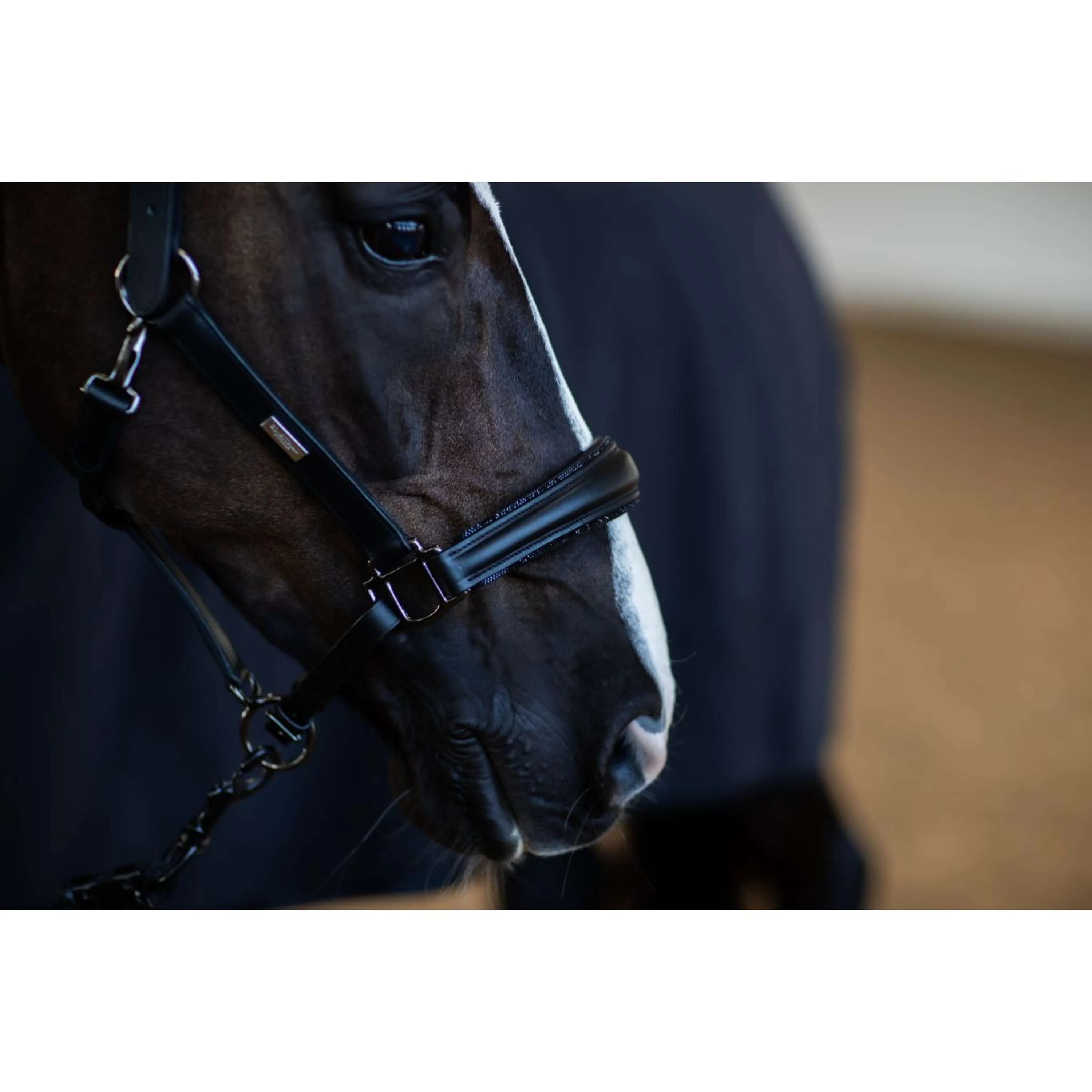 Equestrian Stockholm Licol Glimmer Anatomic Leather Noir - Image 3