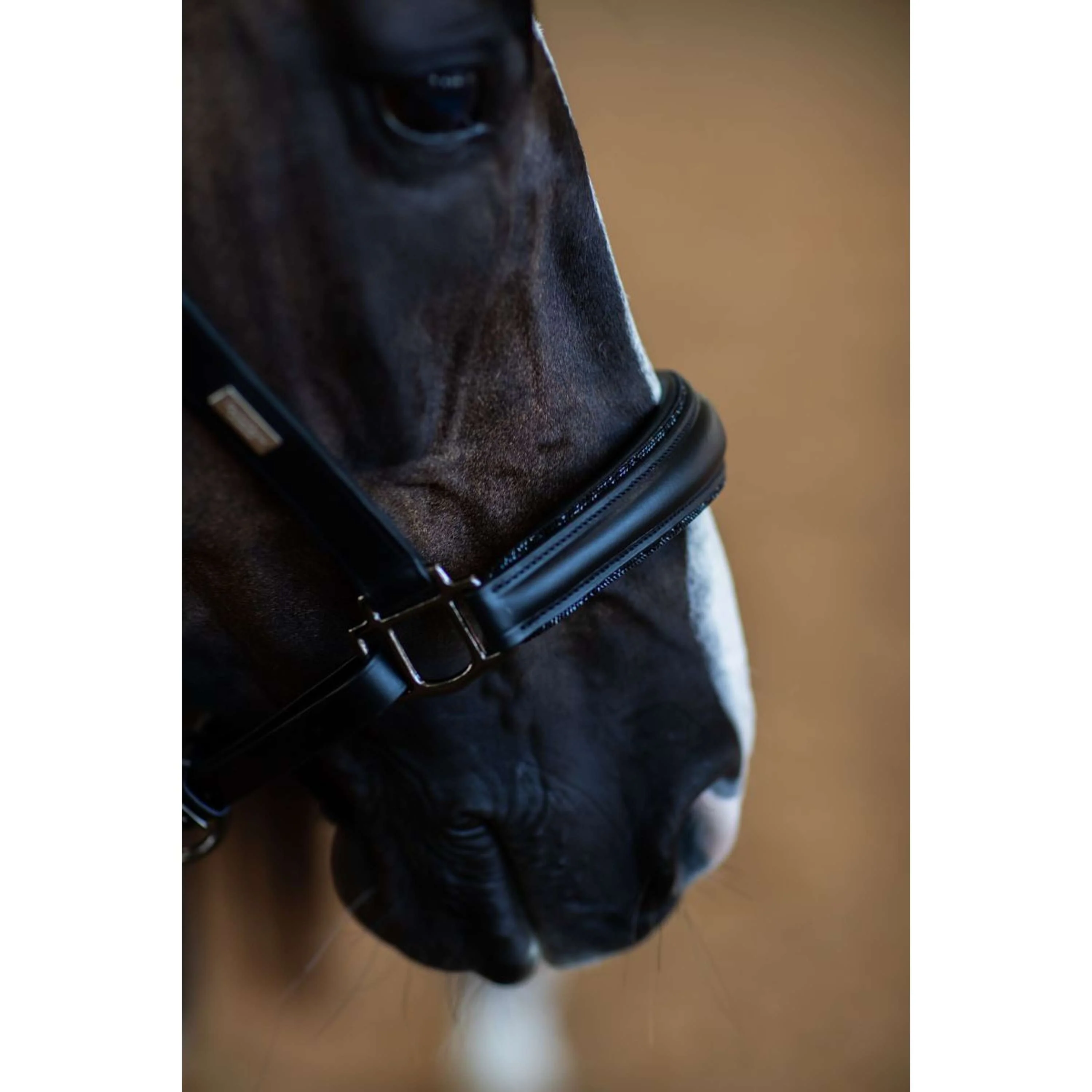 Equestrian Stockholm Licol Glimmer Anatomic Leather Noir - Image 4