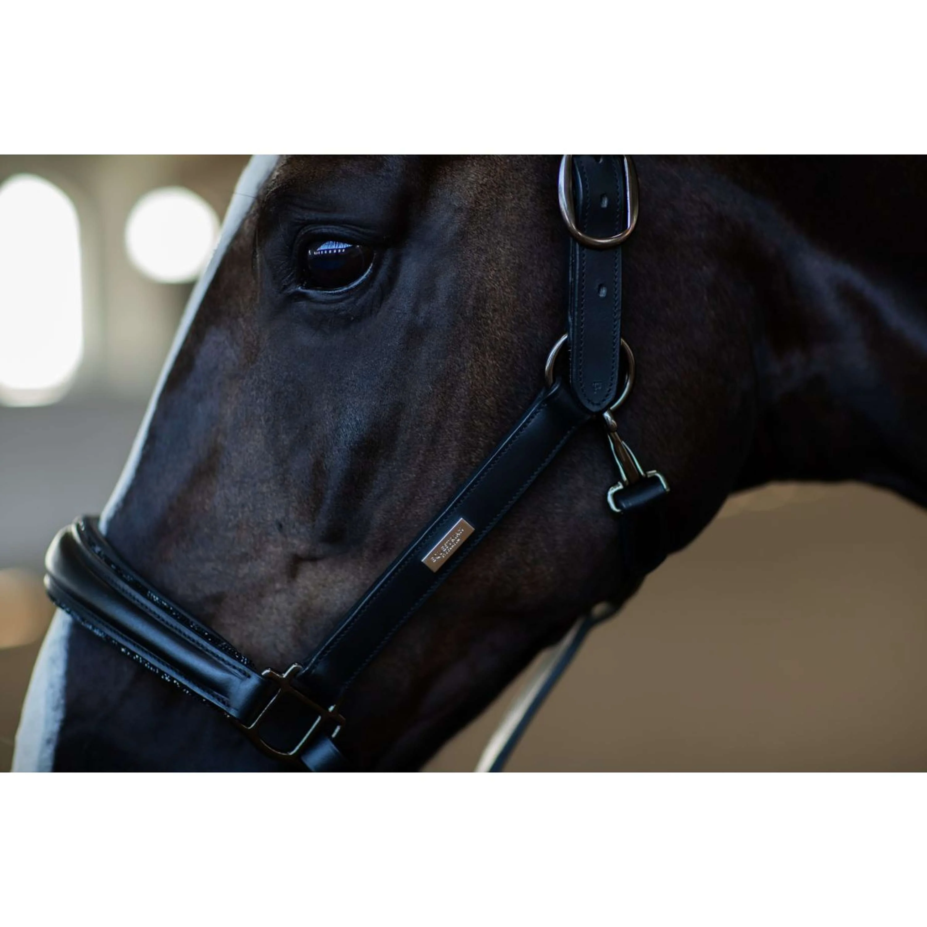 Equestrian Stockholm Licol Glimmer Anatomic Leather Noir - Image 5