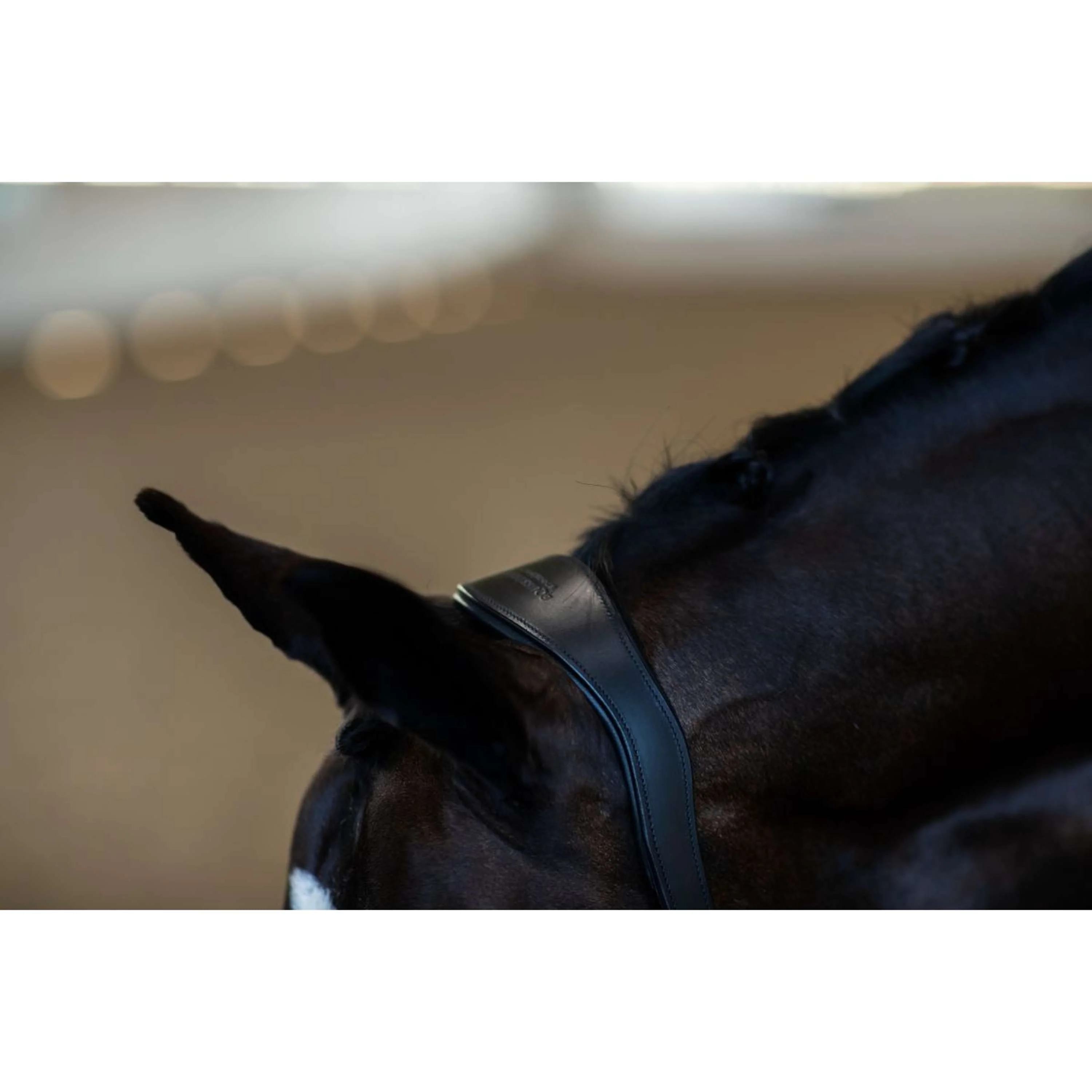 Equestrian Stockholm Licol Glimmer Anatomic Leather Noir - Image 6