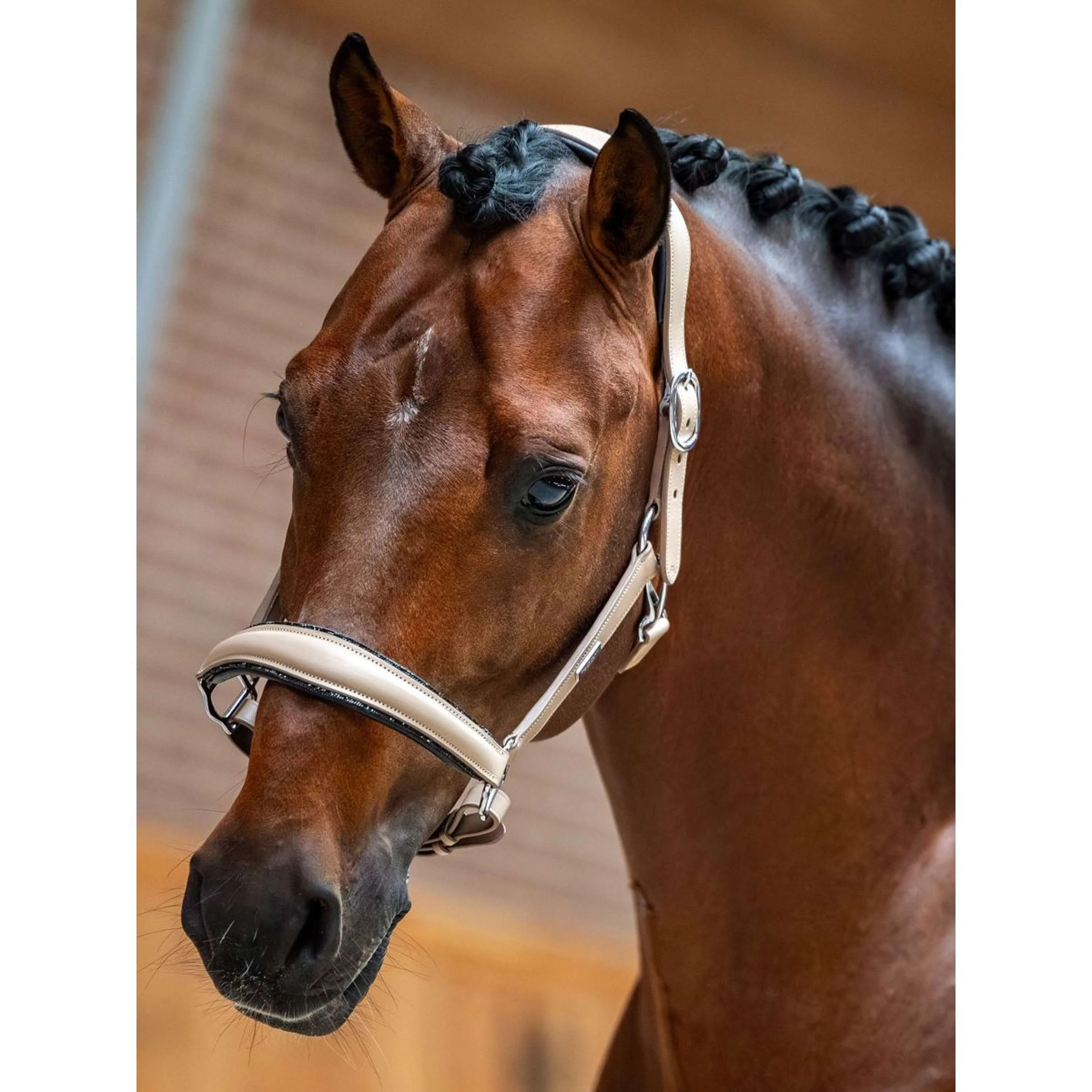 Equestrian Stockholm Licol Glimmer Leather Anatomic Sable - Image 2