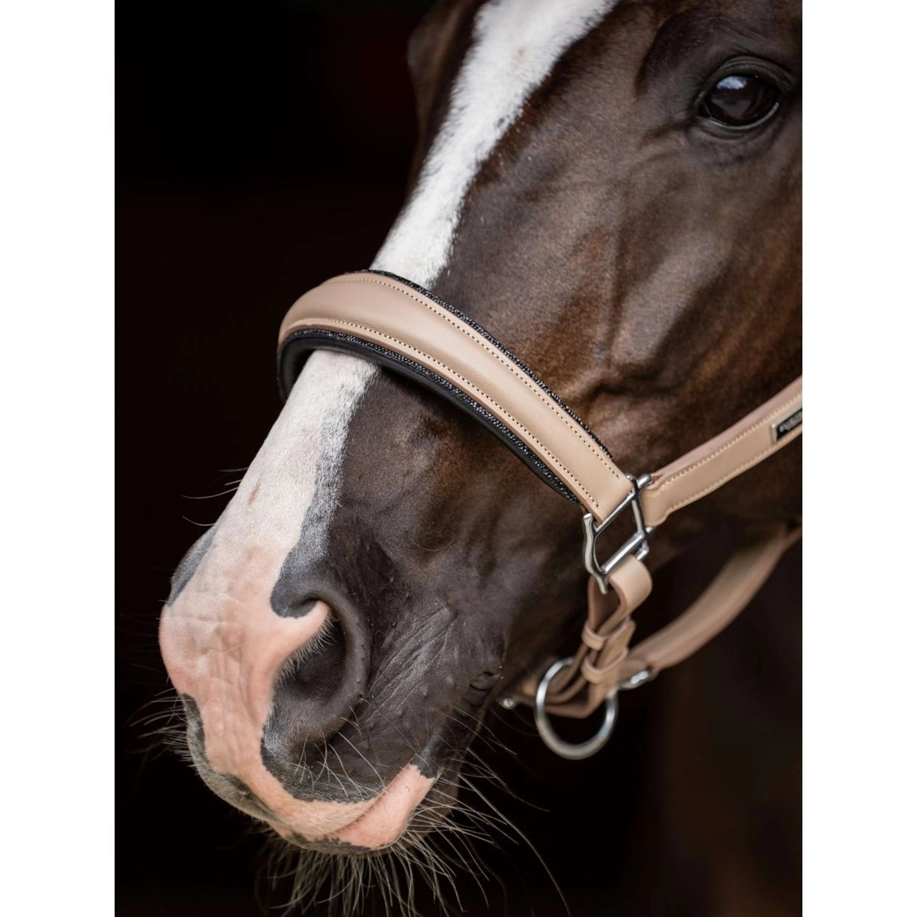 Equestrian Stockholm Licol Glimmer Leather Anatomic Sable - Image 3
