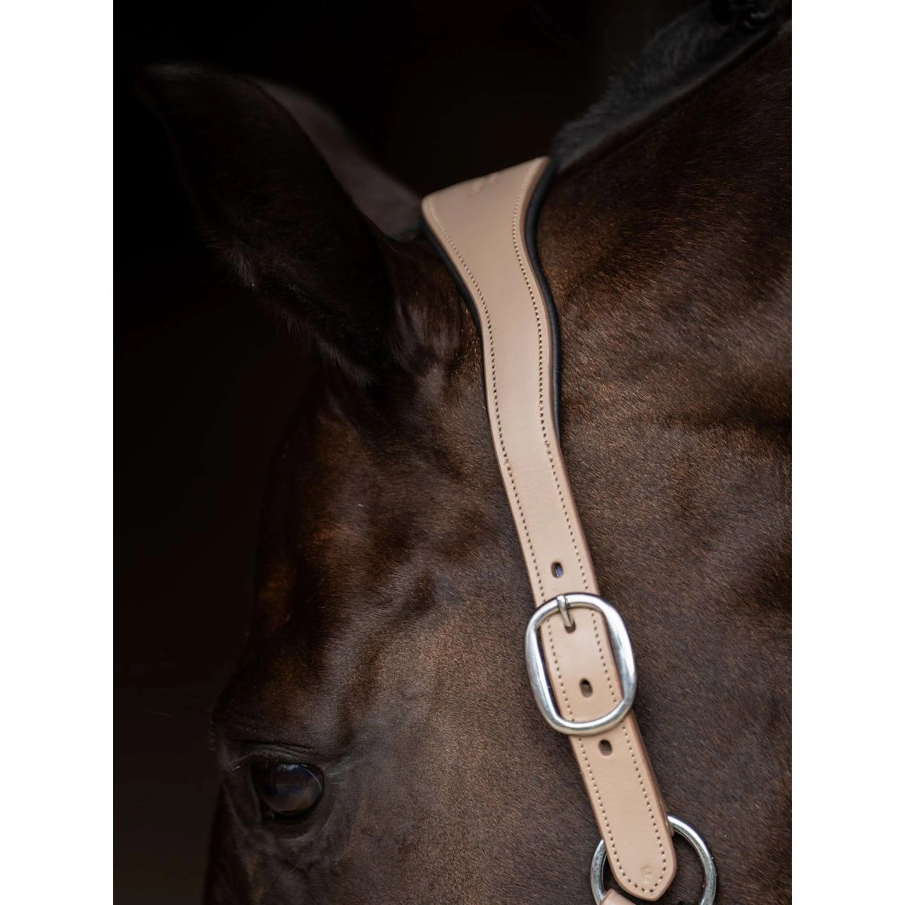 Equestrian Stockholm Licol Glimmer Leather Anatomic Sable - Image 5