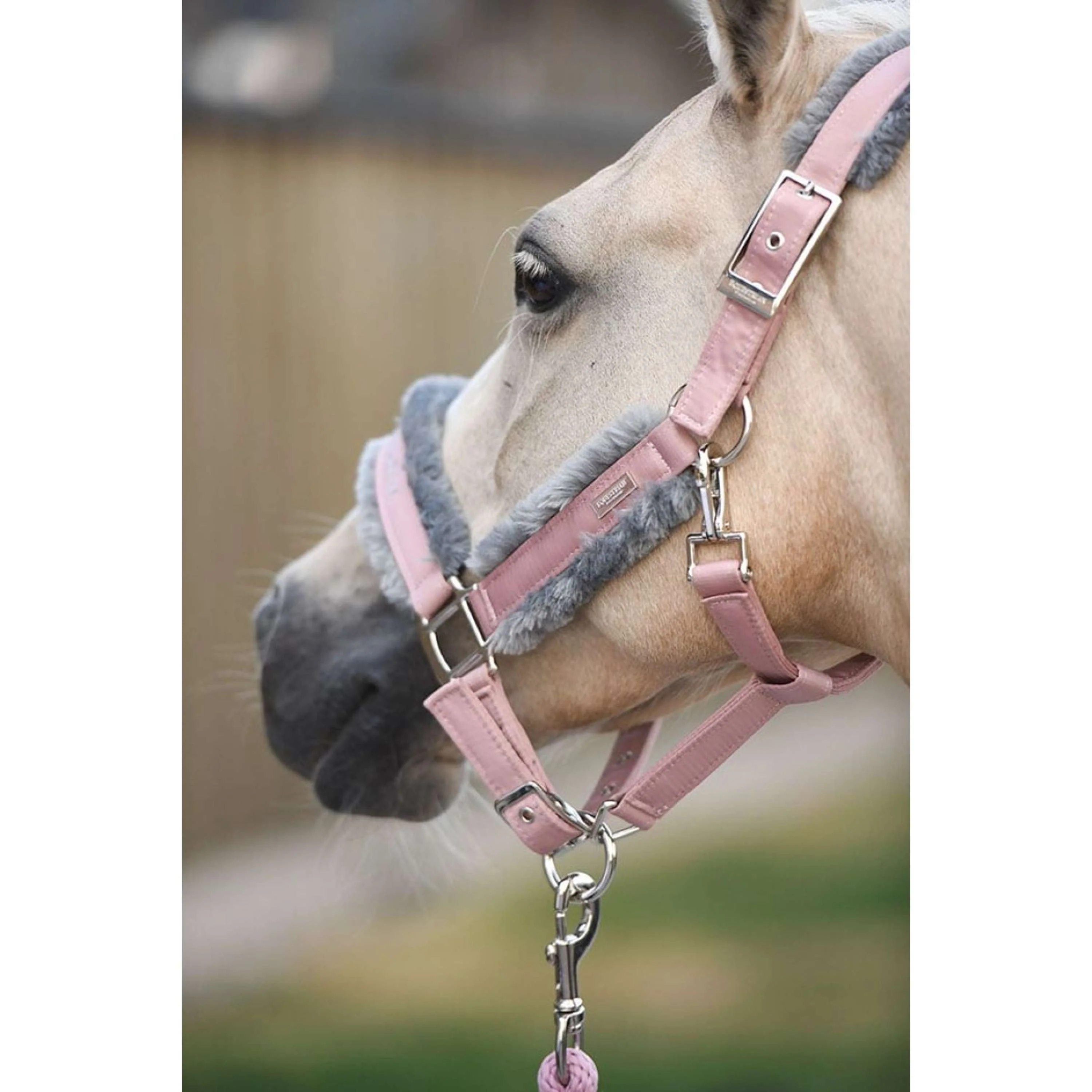 Equestrian Stockholm Licols et Longes Fur Rose - Image 3