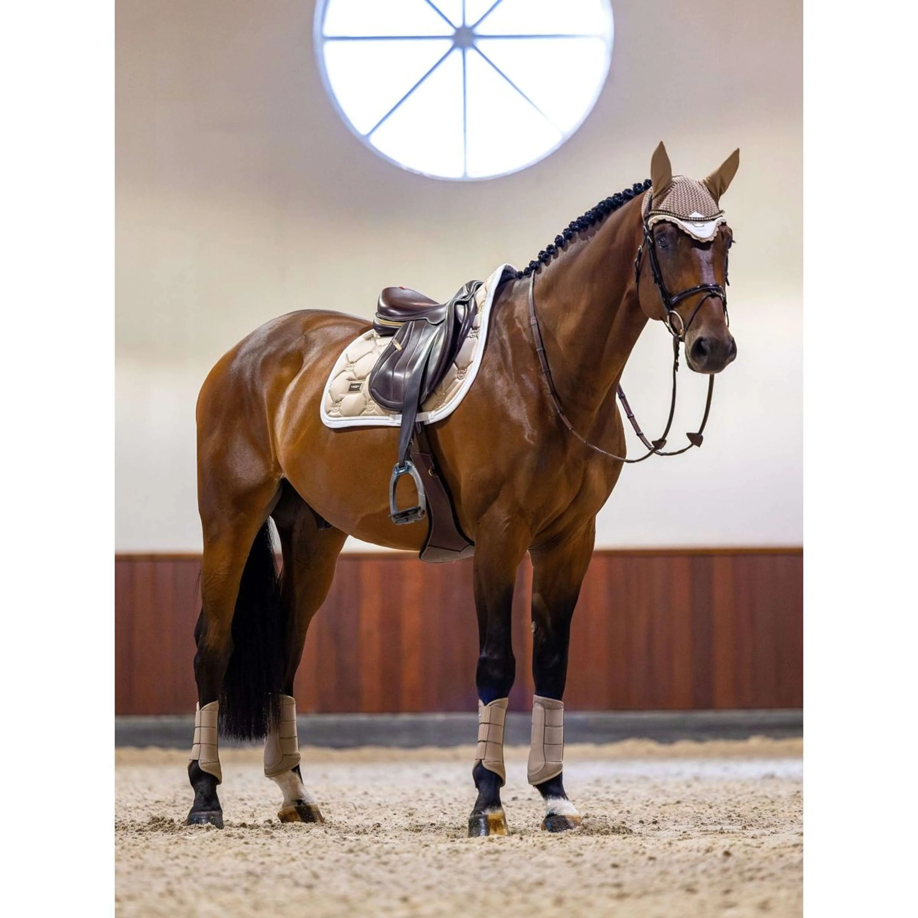 Equestrian Stockholm Tapis de Selle de Saut Sable - Image 4