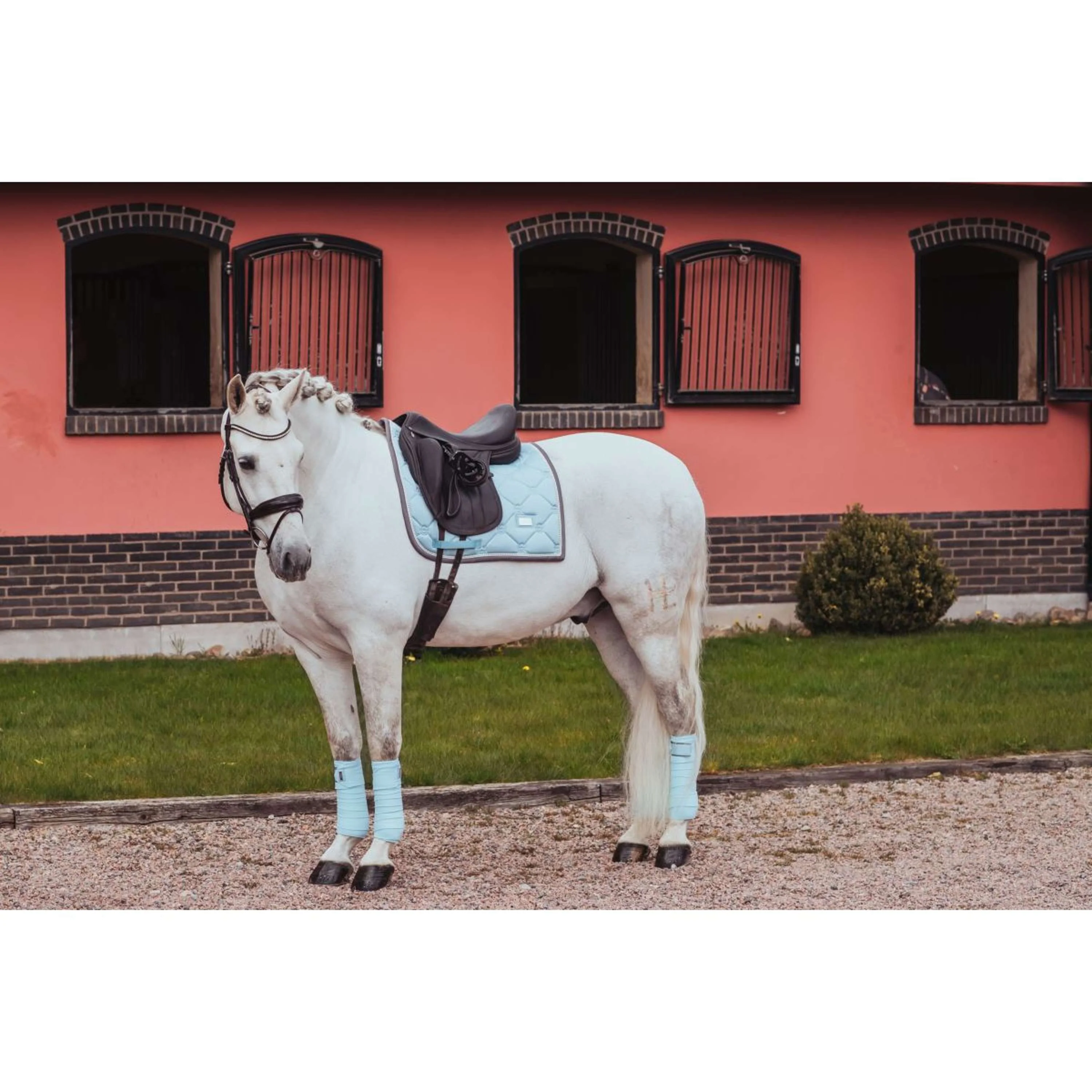Equestrian Stockholm Tapis de Selle Dressage Ice Blue - Image 3