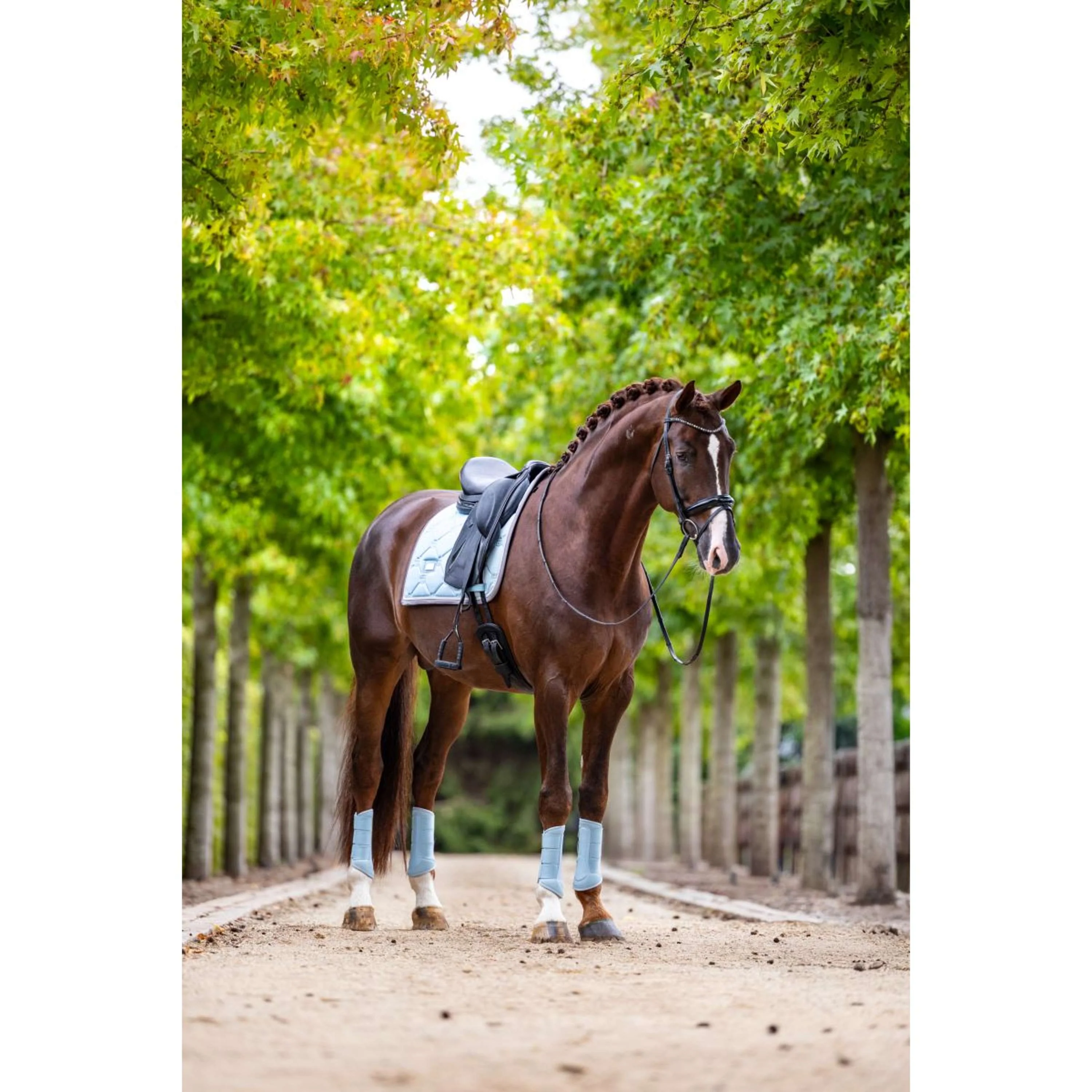 Equestrian Stockholm Tapis de Selle Dressage Ice Blue - Image 4